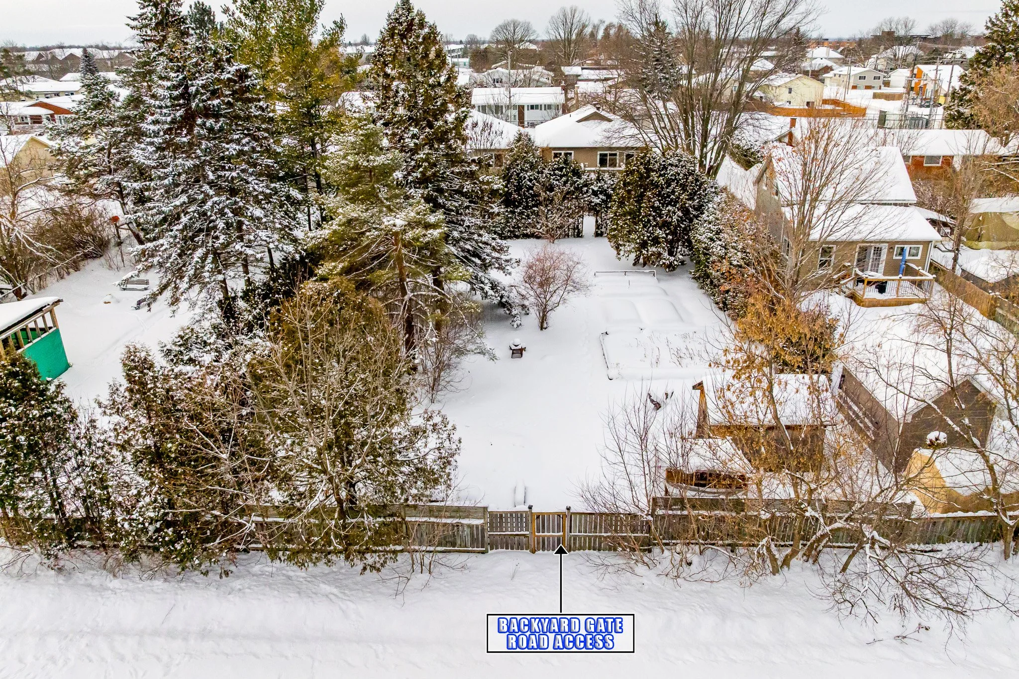 193 Napoleon_050.jpg