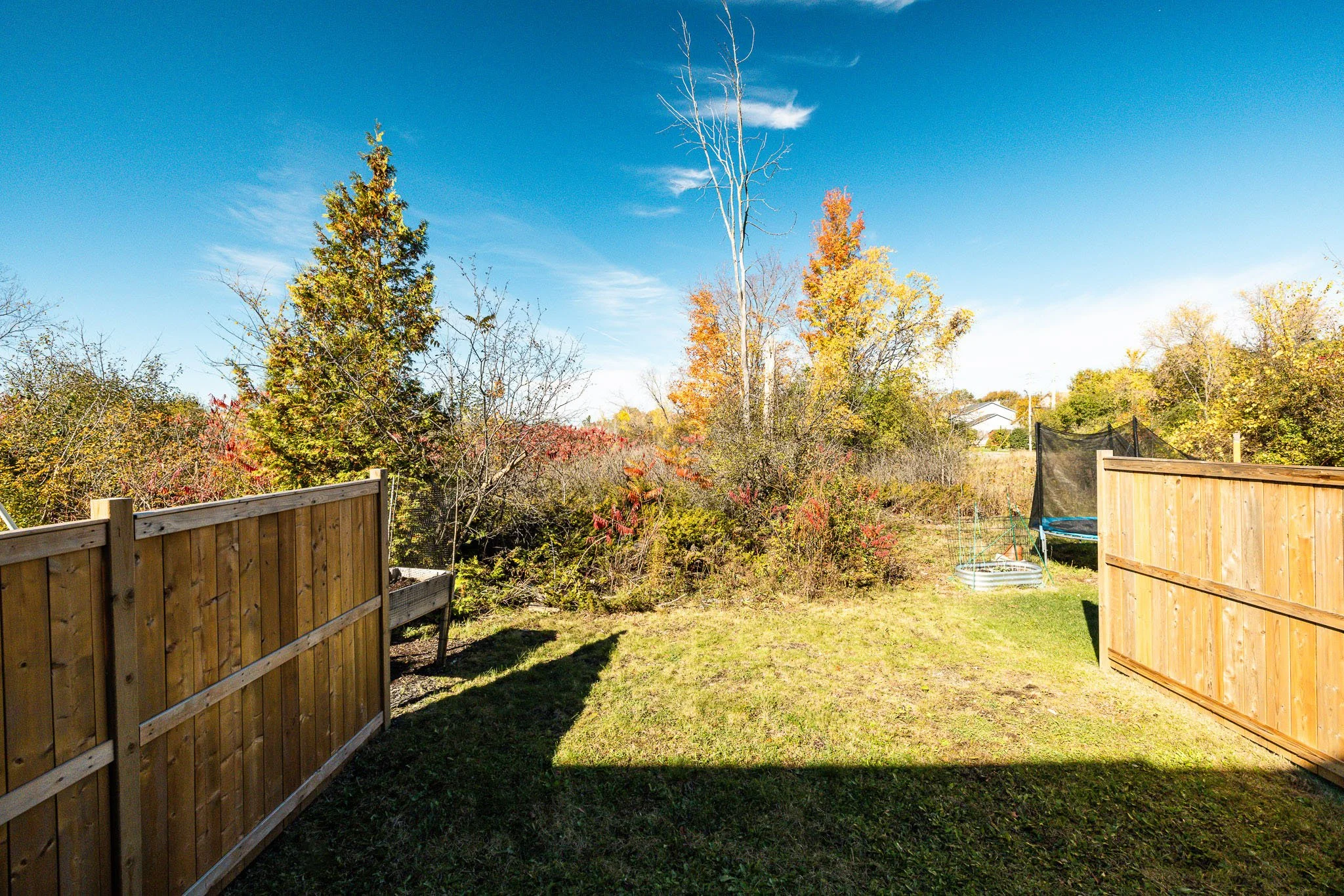 5_Taber_0045.jpg