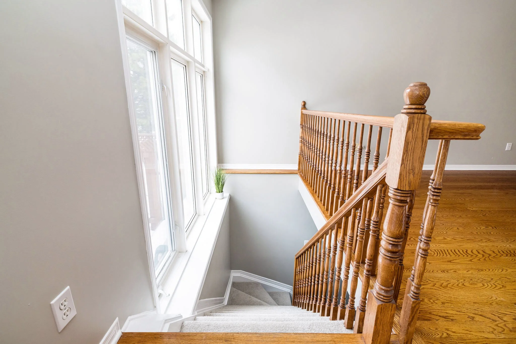 92 Deerfox_Upd3_047.jpg