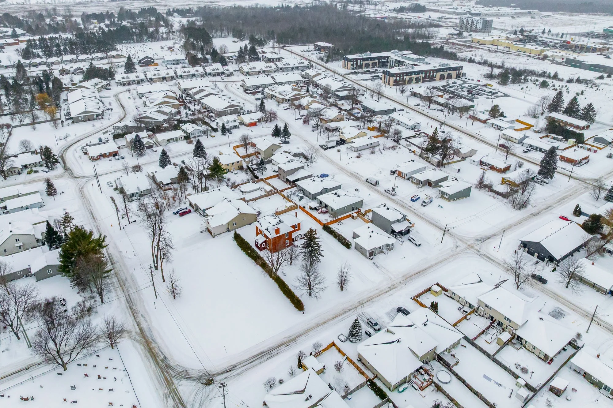 294 Dumbrille_003 copy.jpg