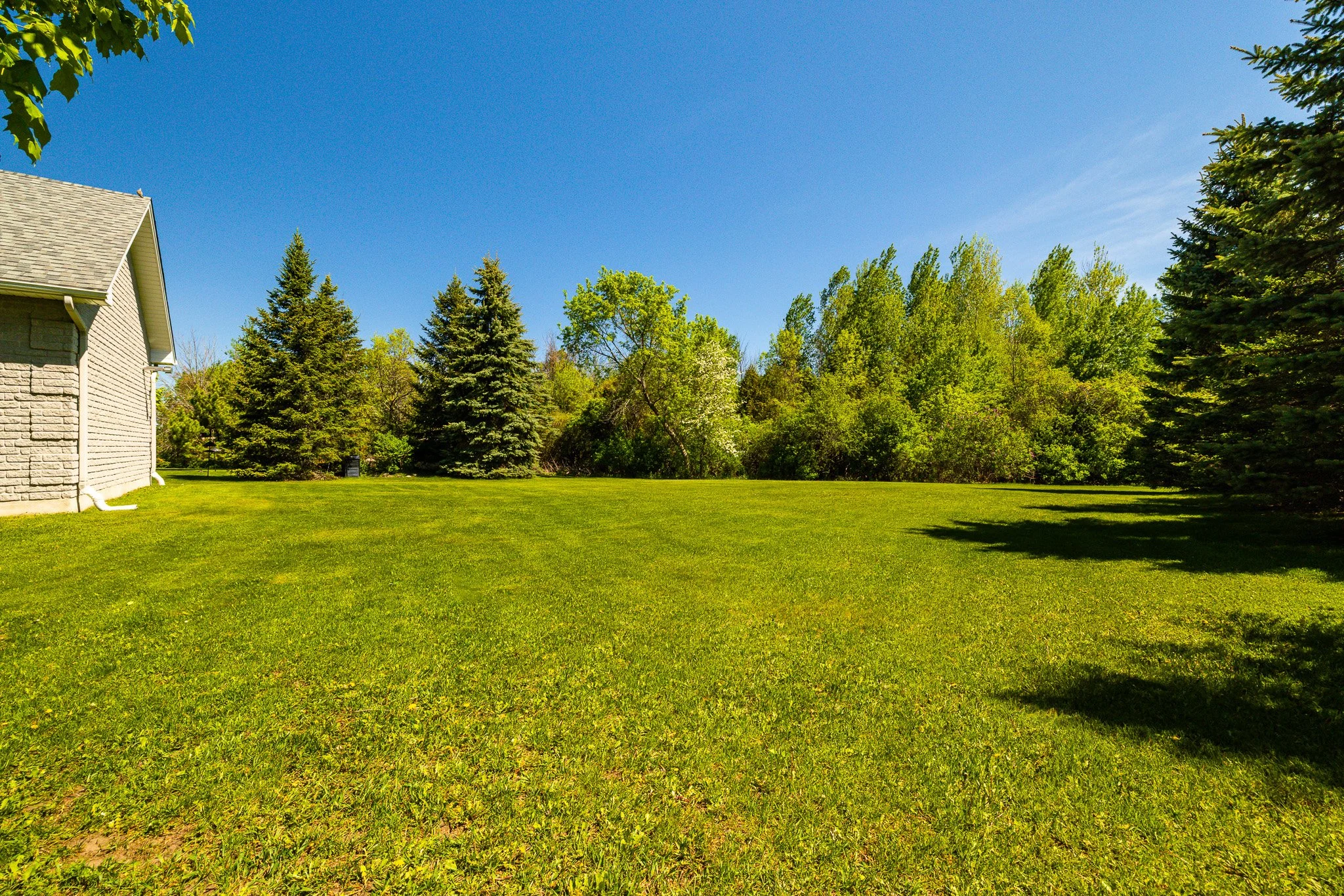 10 Balmoral_081.jpg