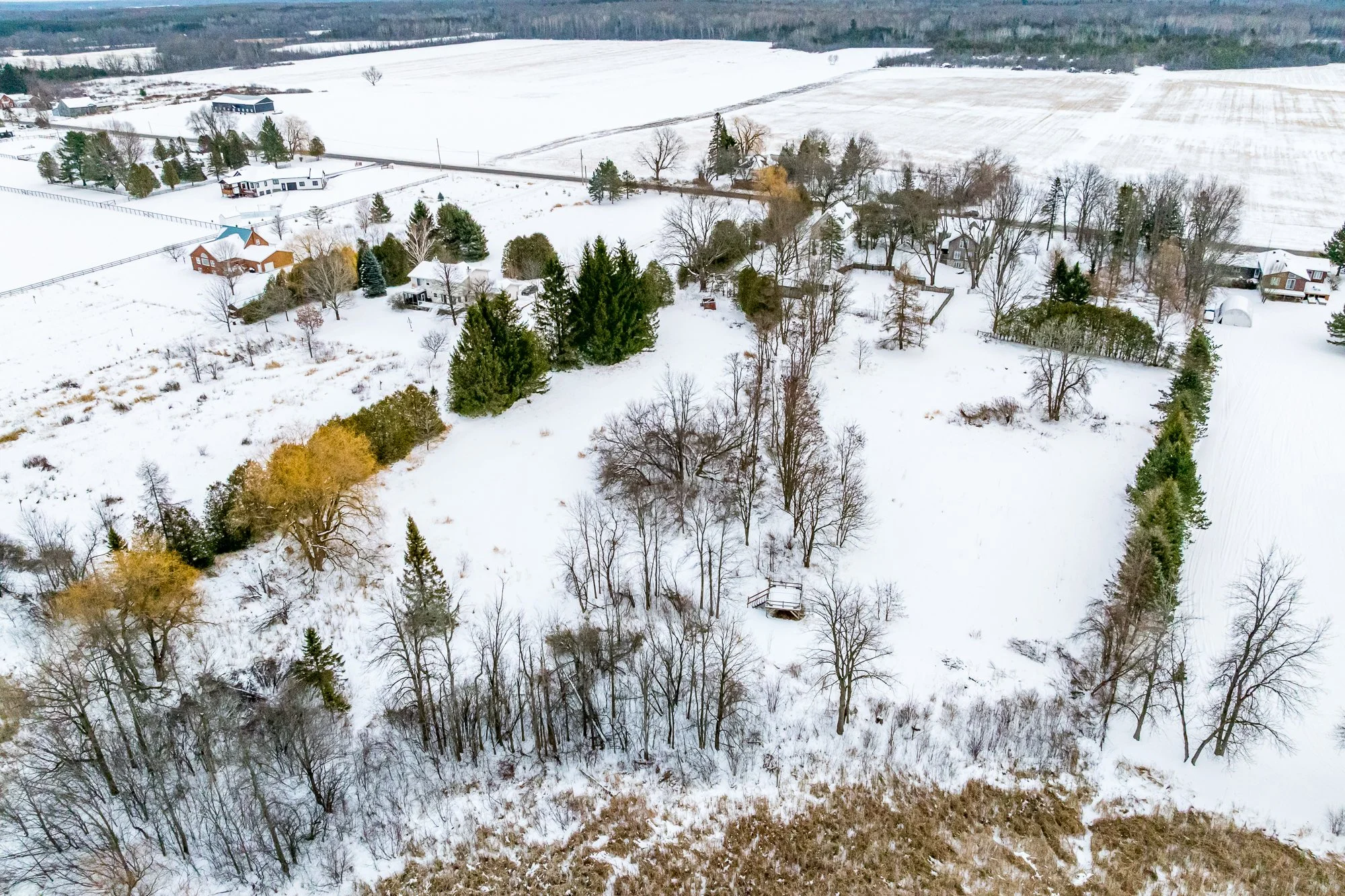 3651 Burritts Rapids_Update_023.jpg