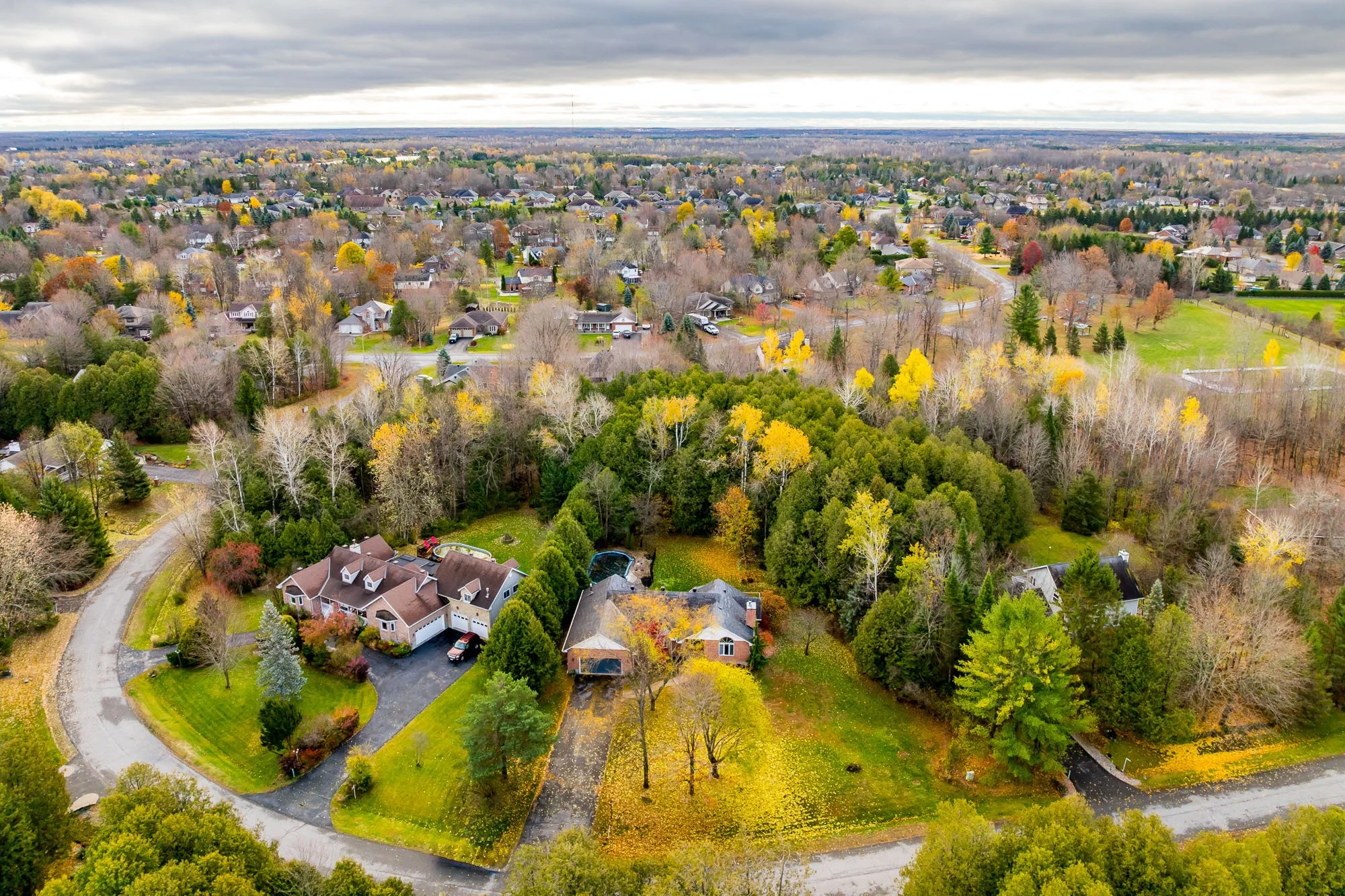 6492 Waddion_003.jpg