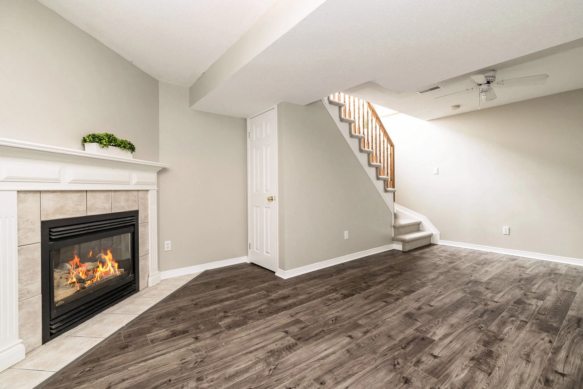 92 Deerfox_Upd3_049.jpg