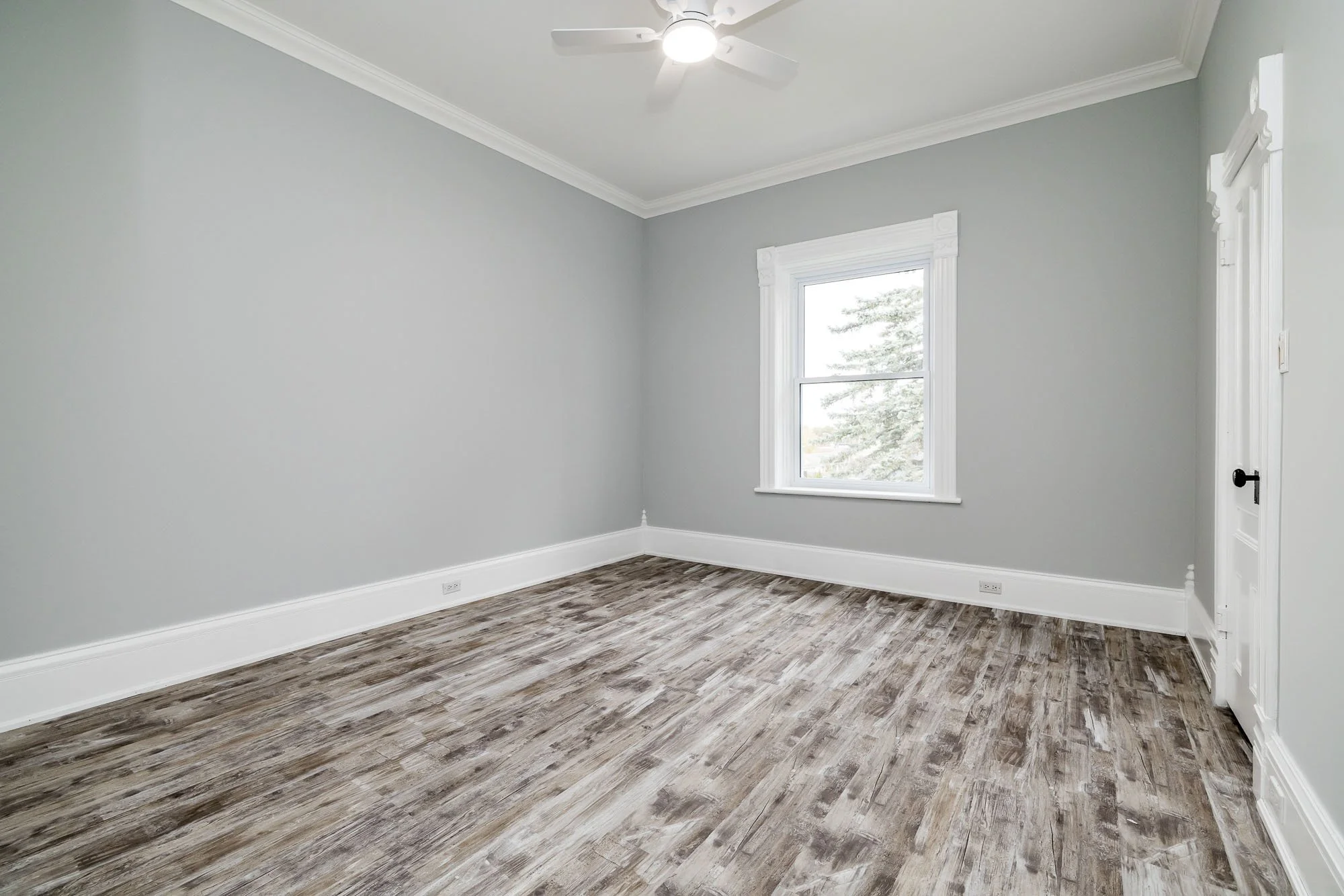 294 Dumbrille__067.jpg