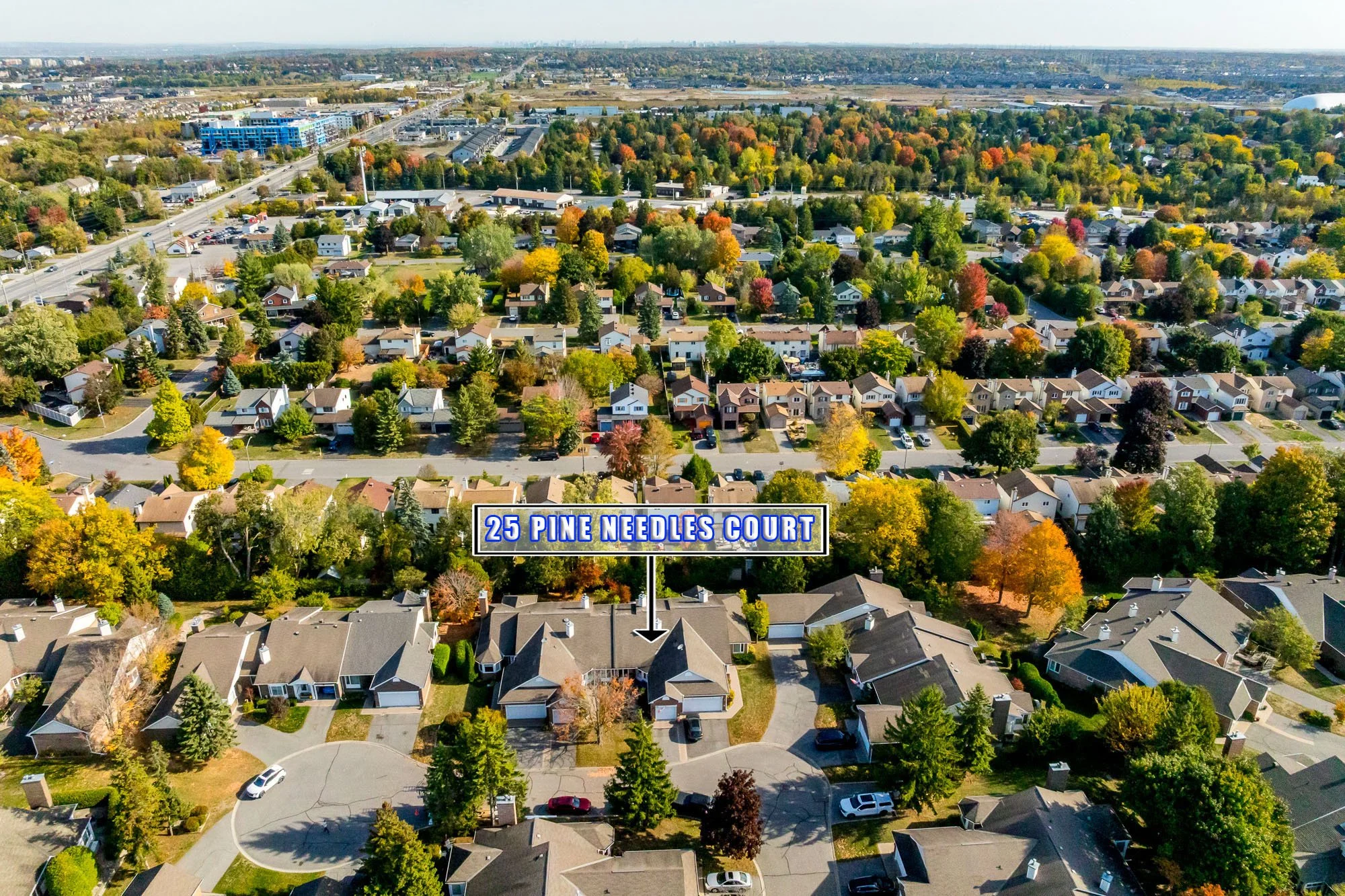 25 Pine Needles_002.jpg