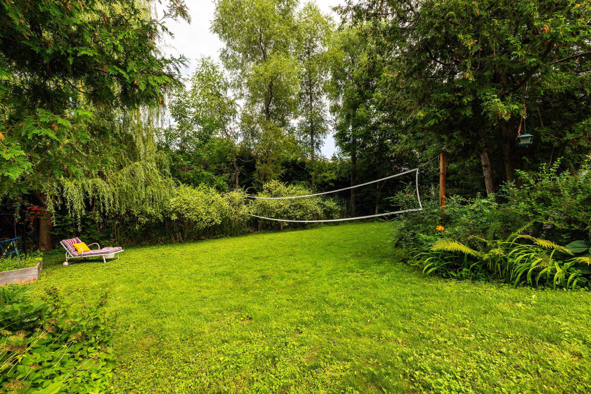50 Hesse_0114.jpg