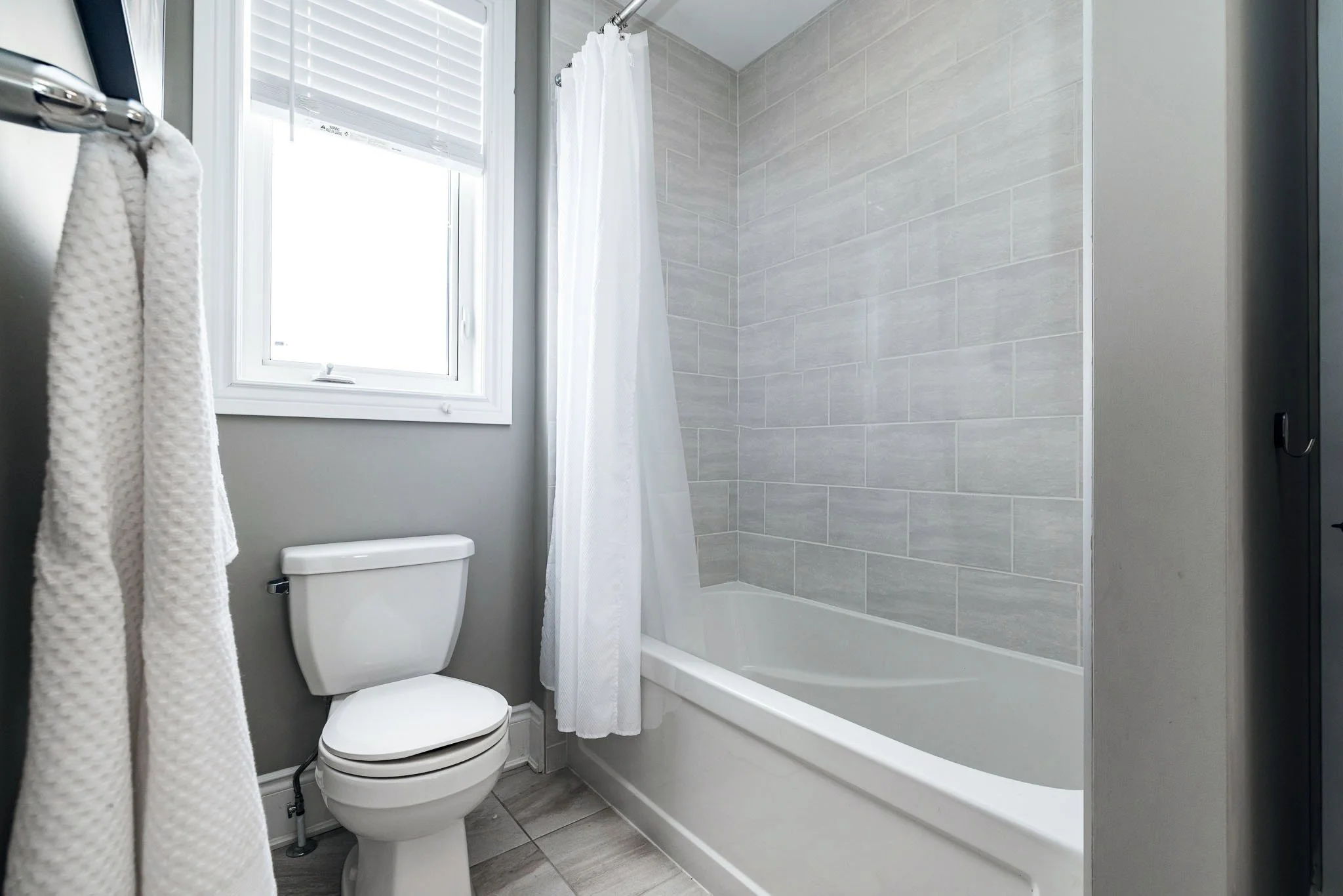 199 Bartonia_068.jpg