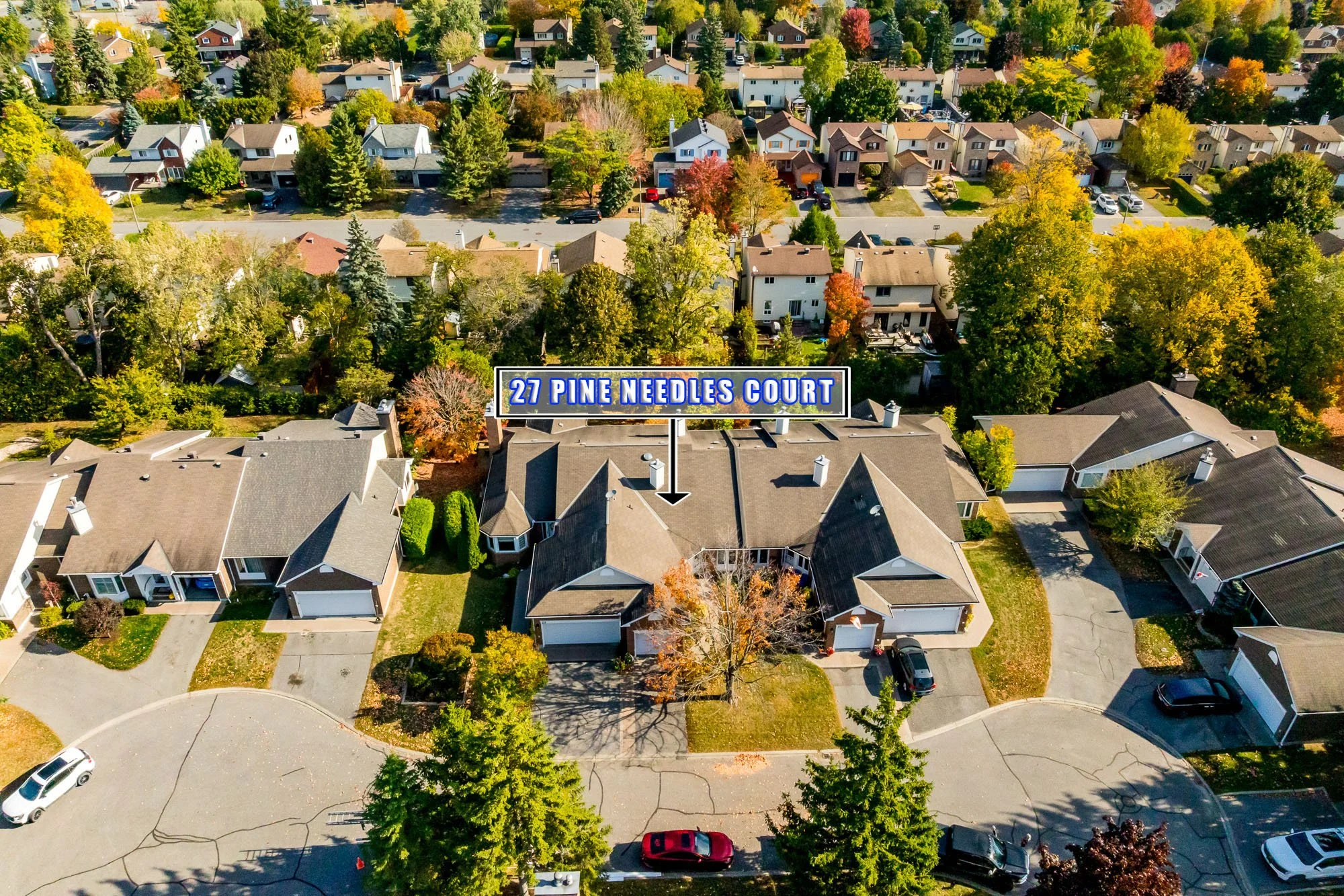 27 Pine Needles_003.jpg