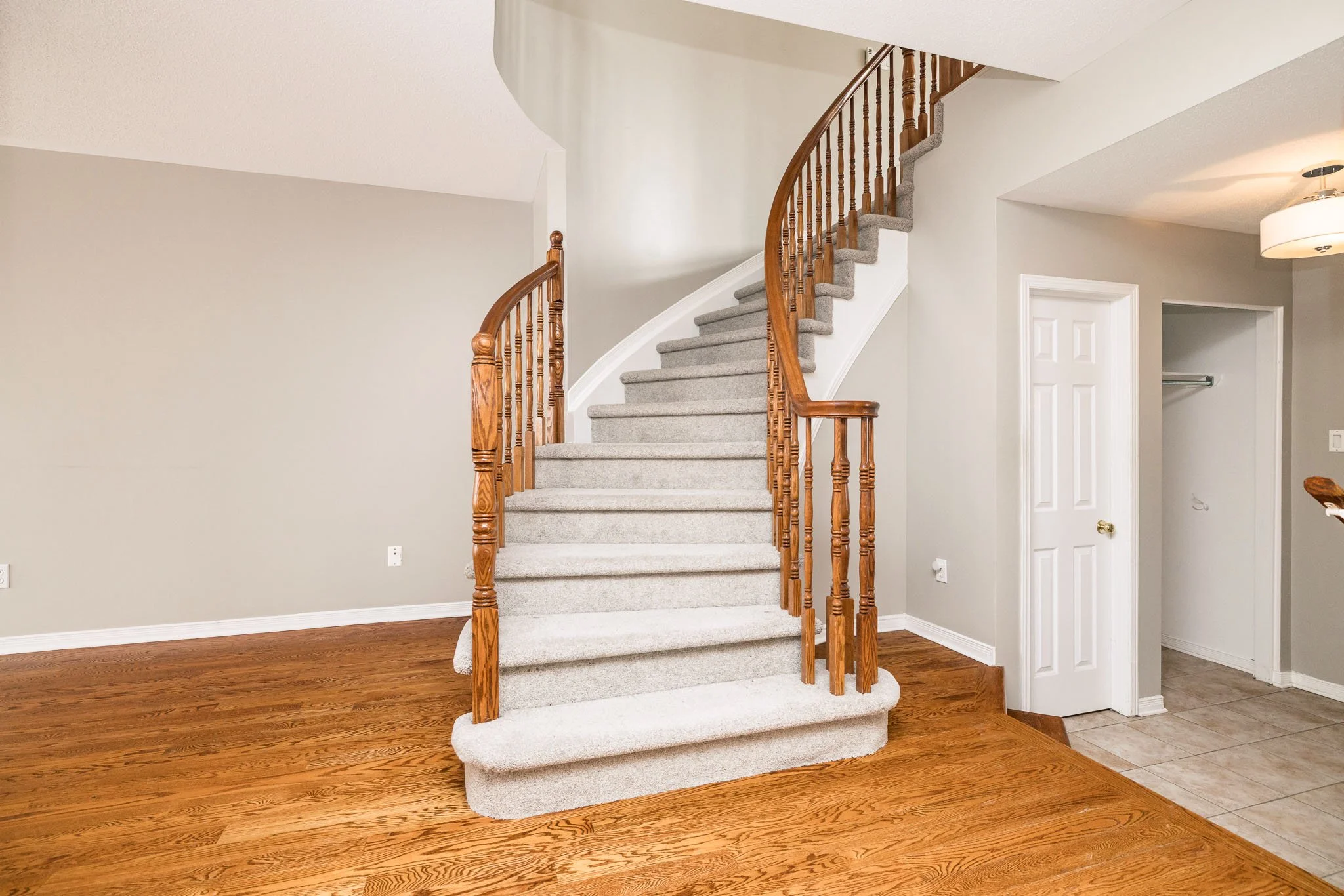 92 Deerfox_Upd3_022.jpg