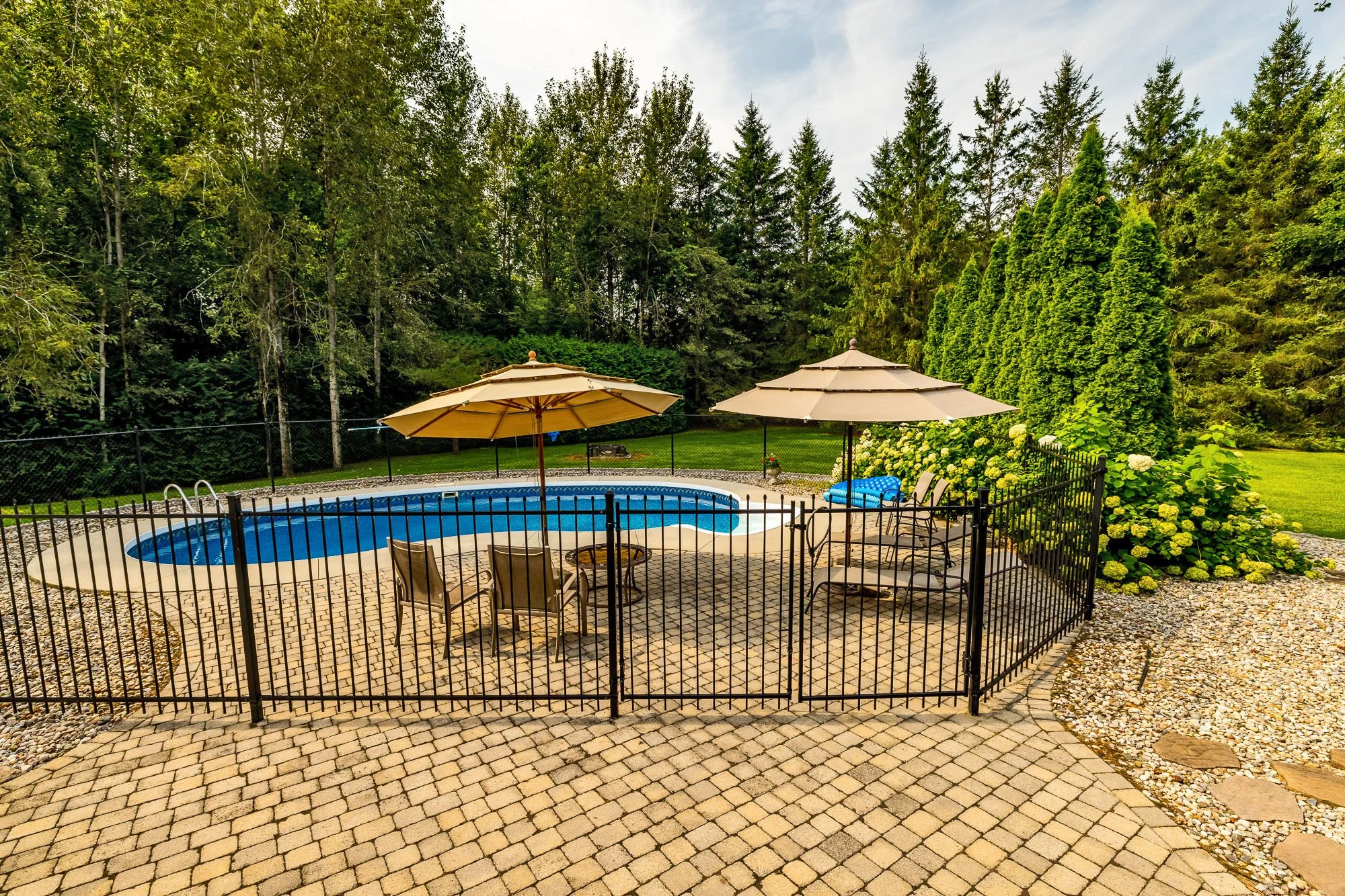 6196 Deermeadow_091.jpg