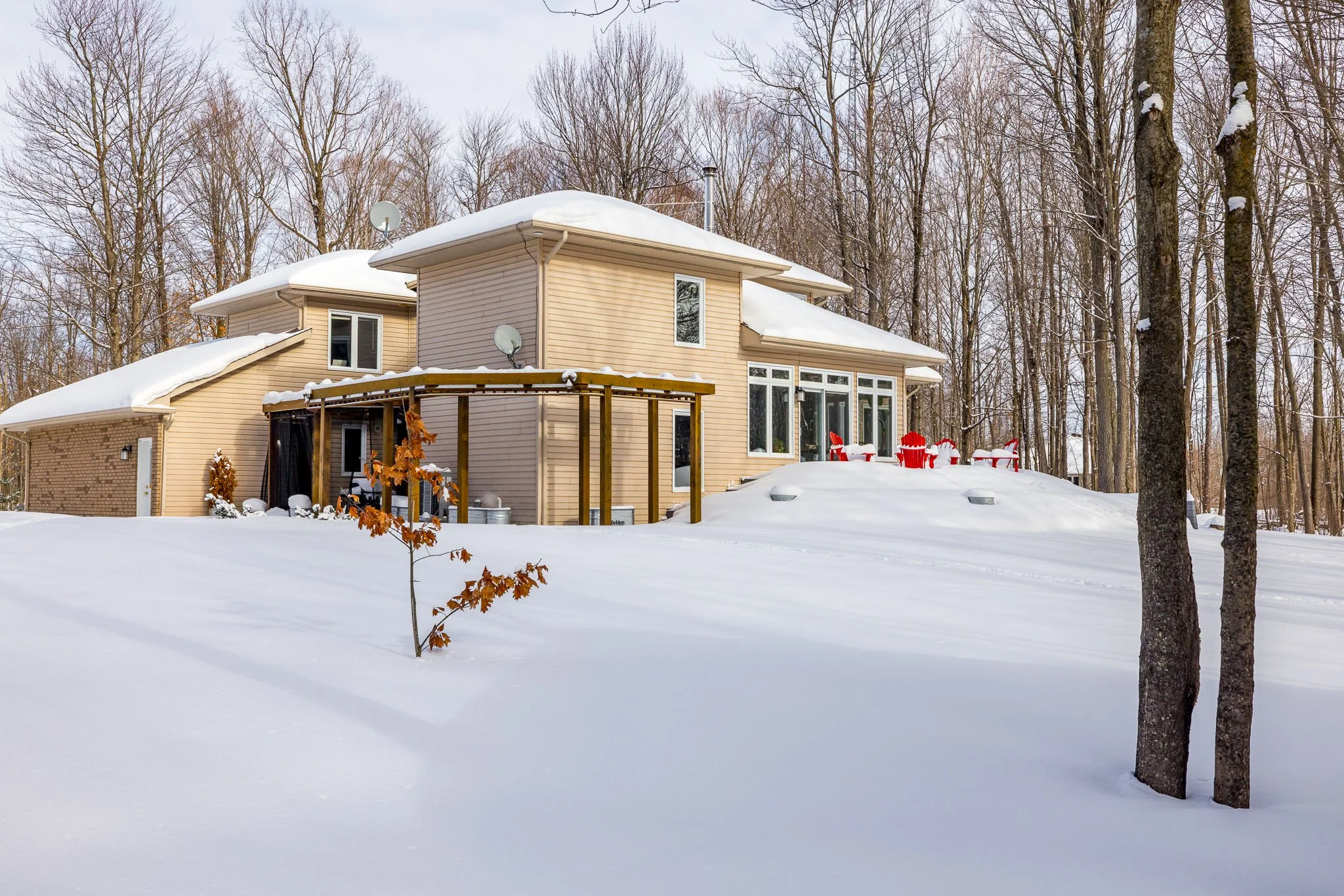 5830 Wood Duck_075.jpg