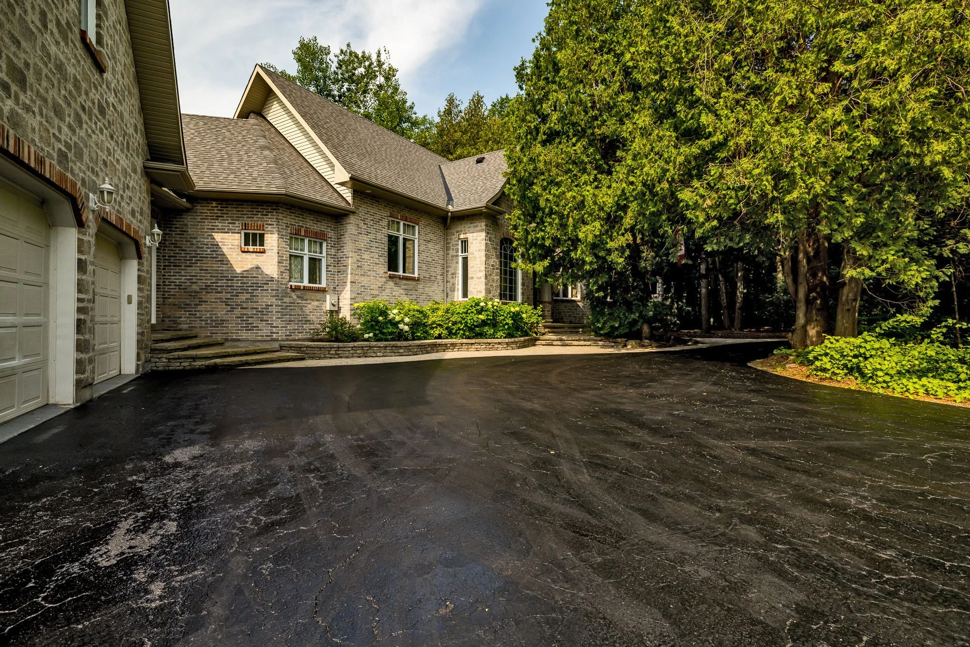 6196 Deermeadow_012.jpg