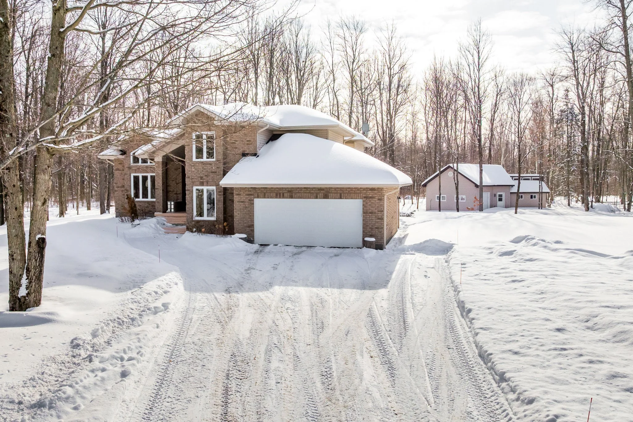 5830 Wood Duck_001.jpg