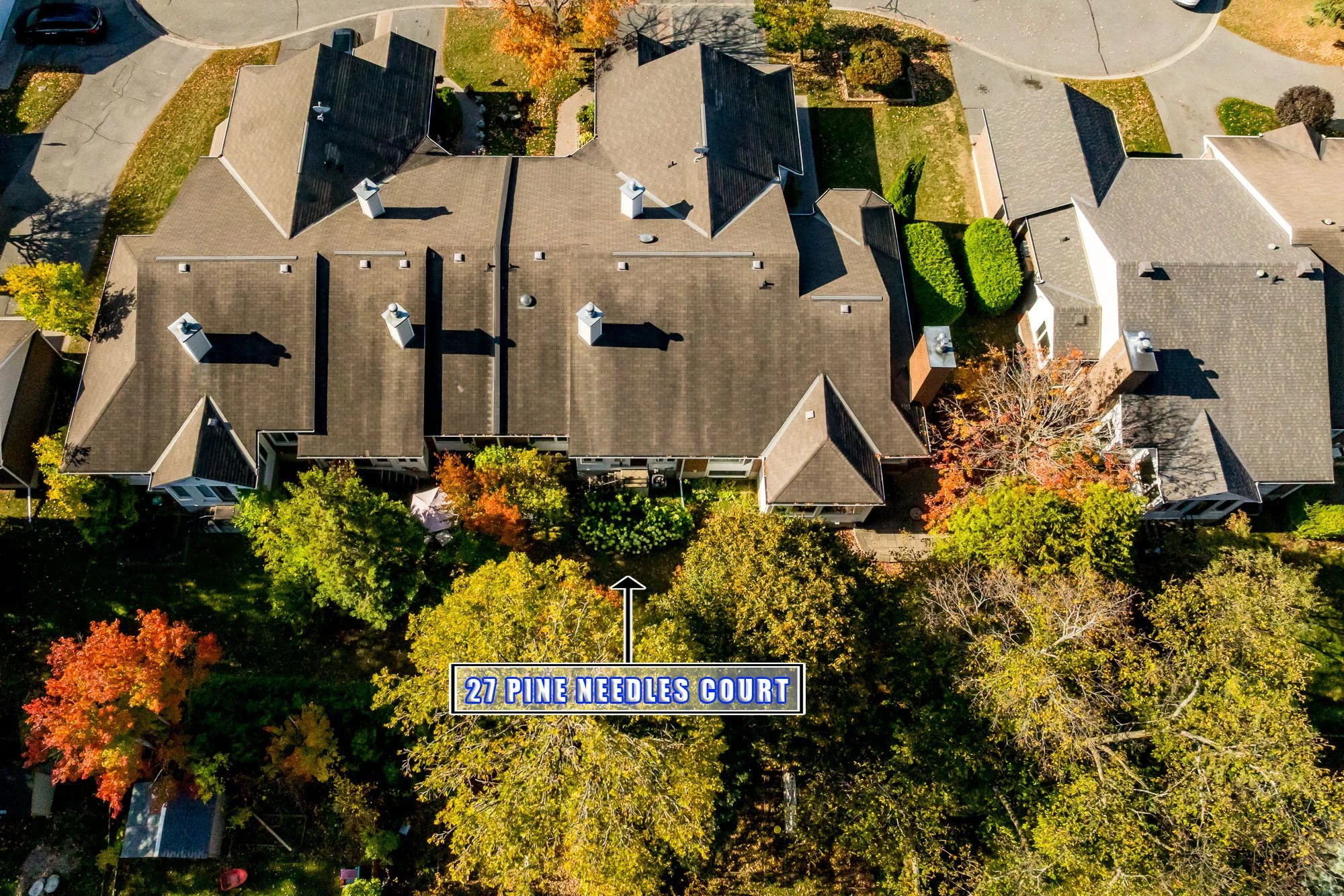 27 Pine Needles_046.jpg