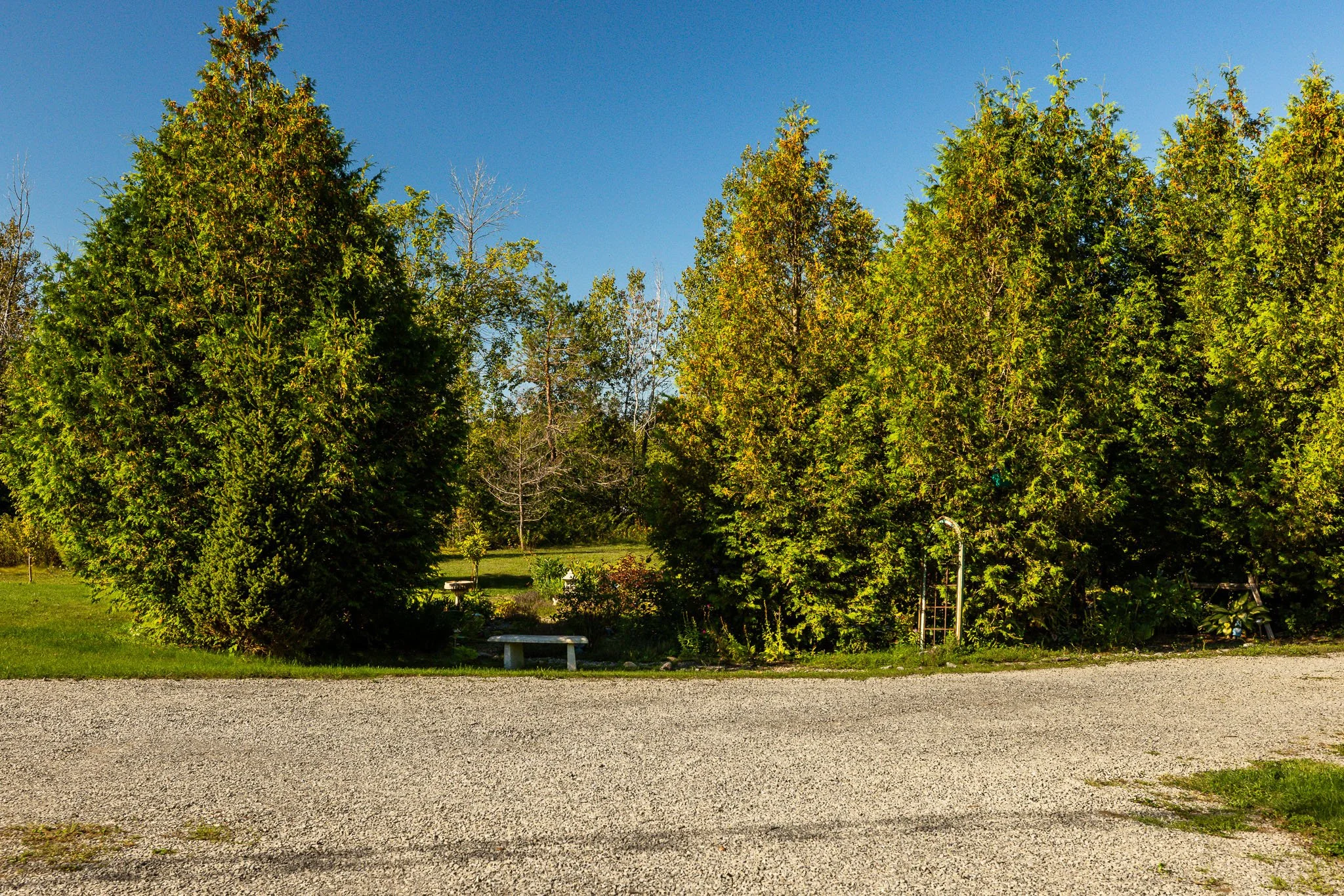 3417 CR 16_0072.jpg