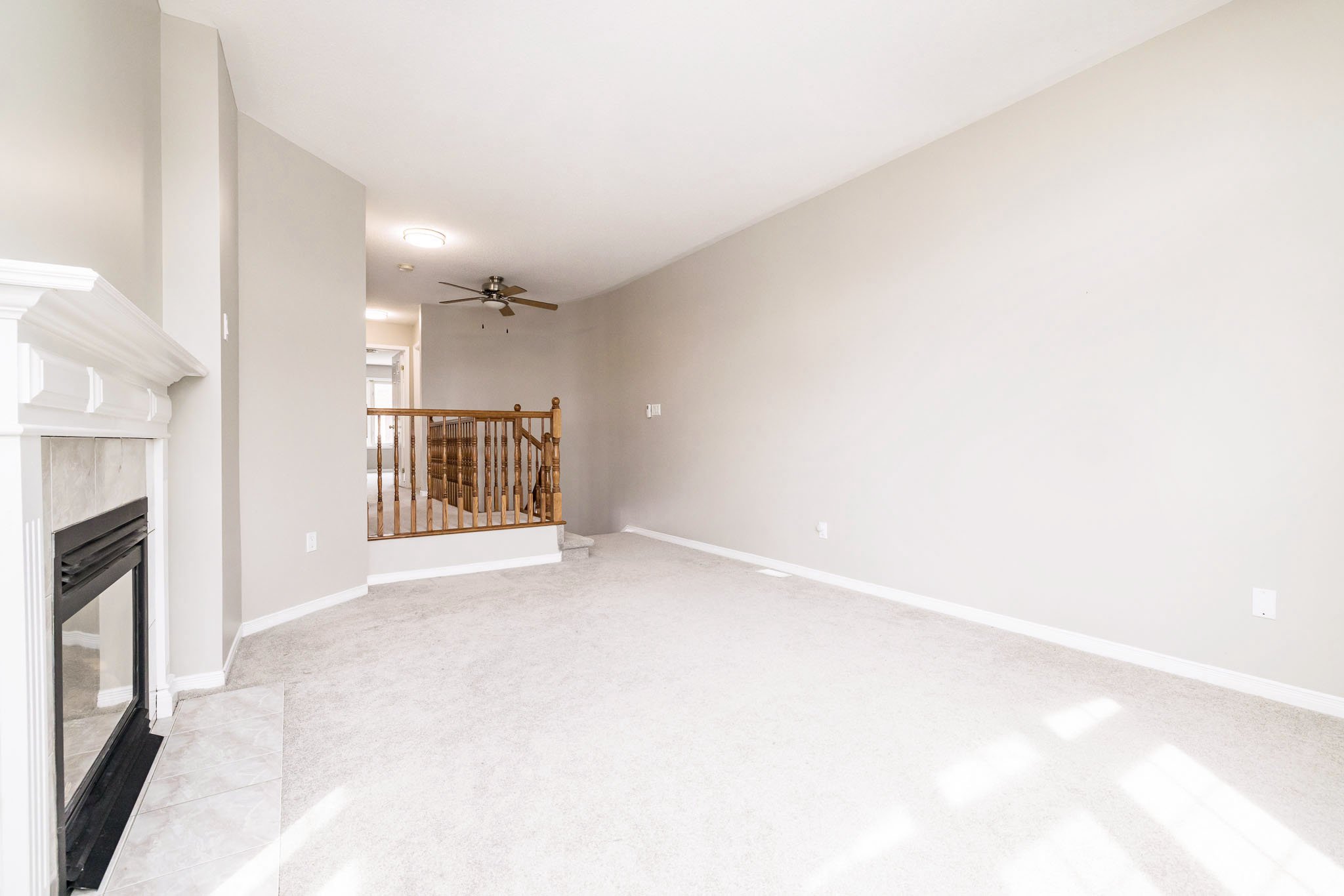 92 Deerfox_Upd3_028.jpg