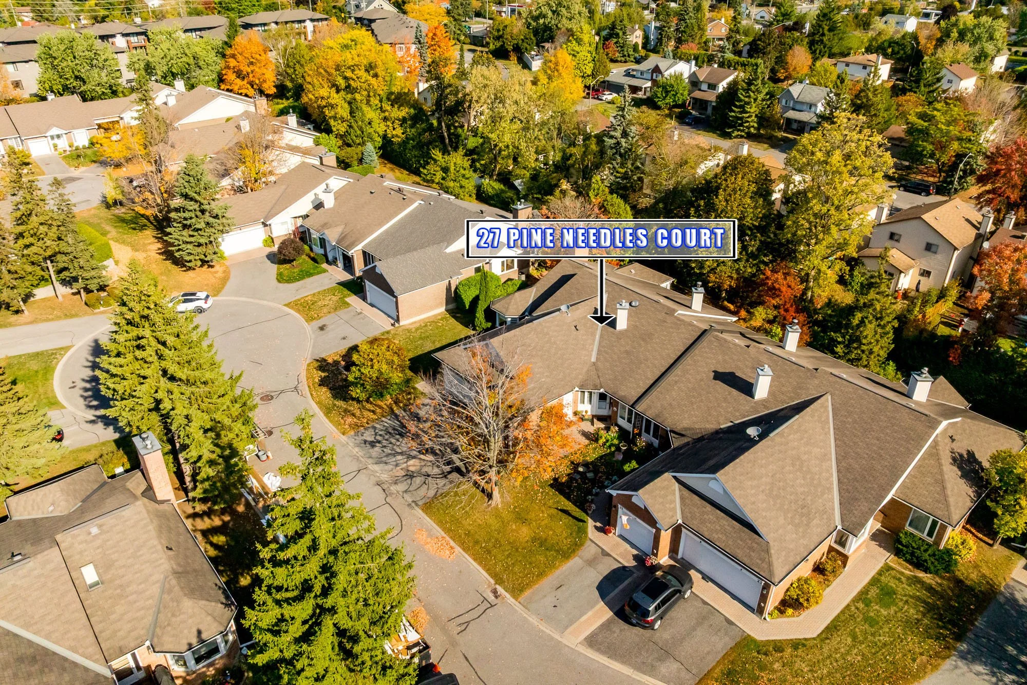 27 Pine Needles_004.jpg