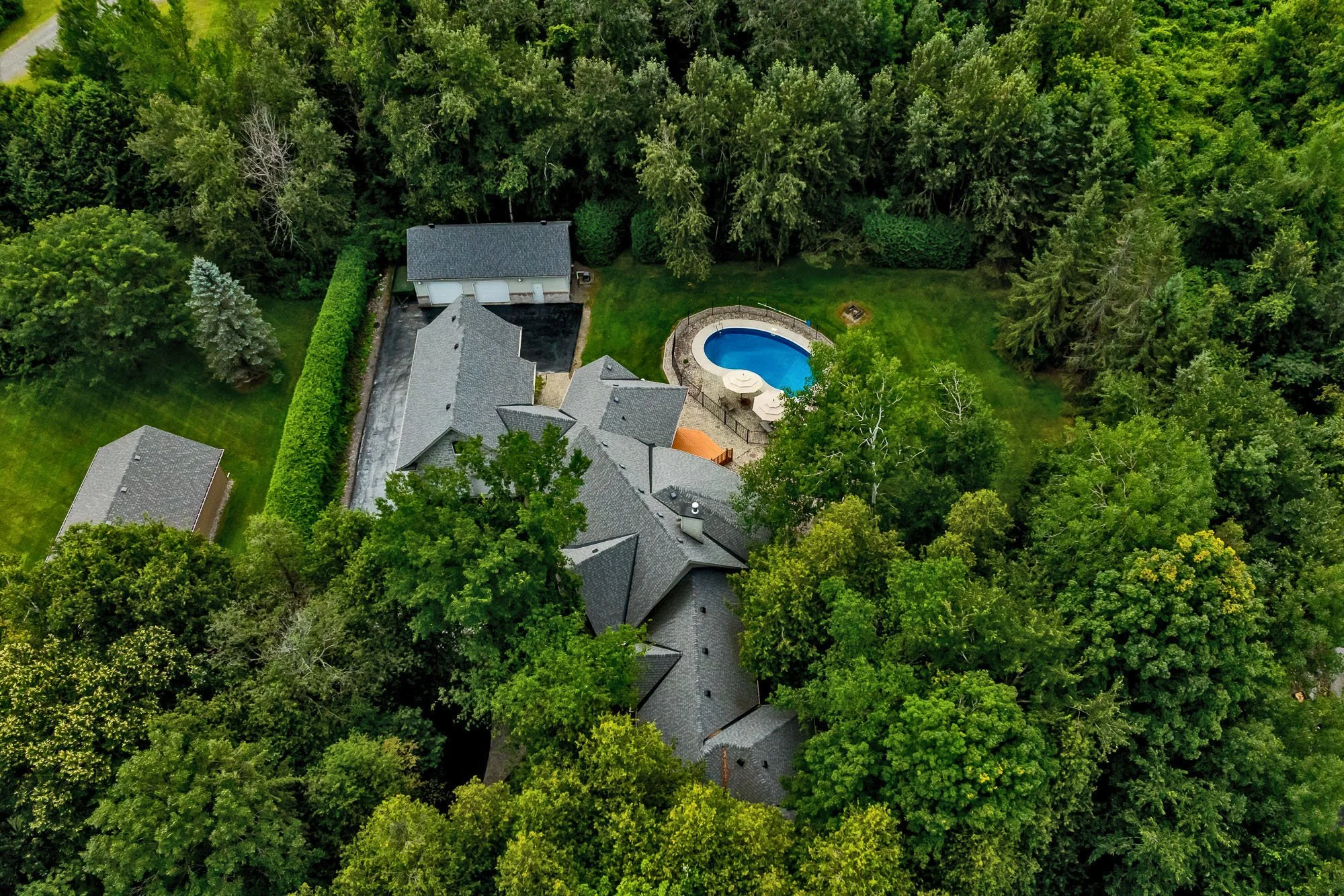 6196 Deermeadow_008.jpg