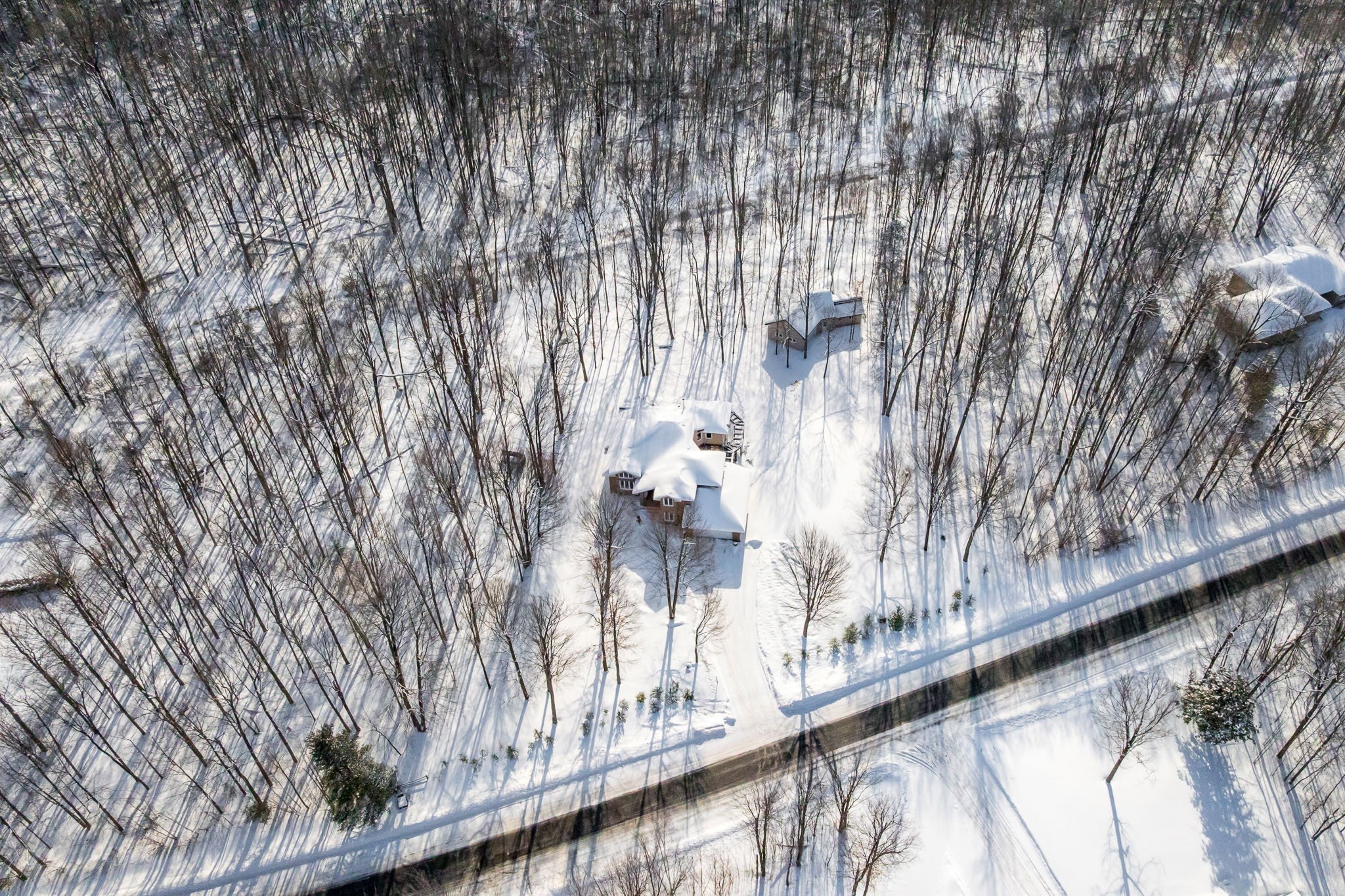 5830 Wood Duck_077.jpg