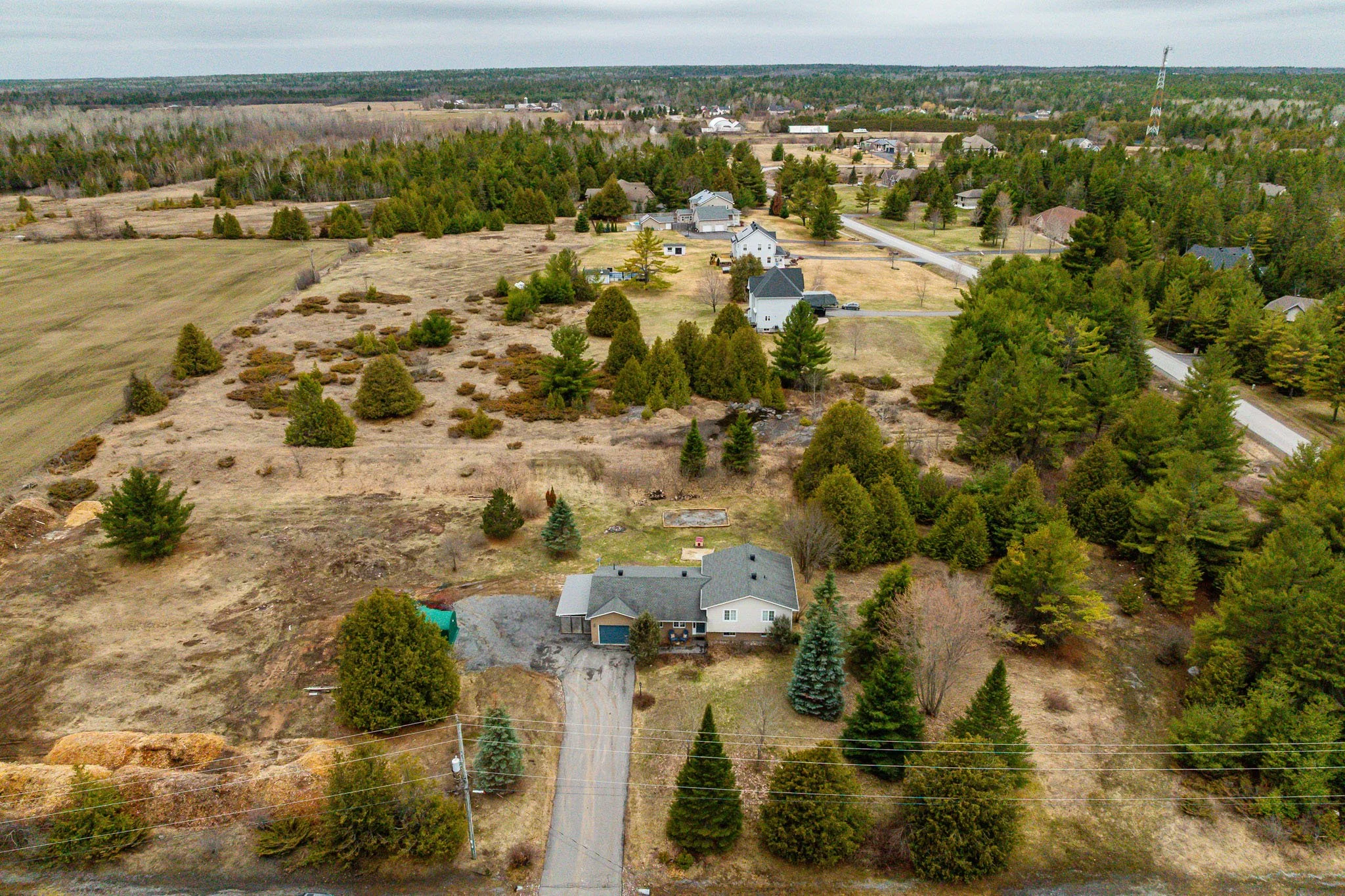 519 David Manchester_006.jpg