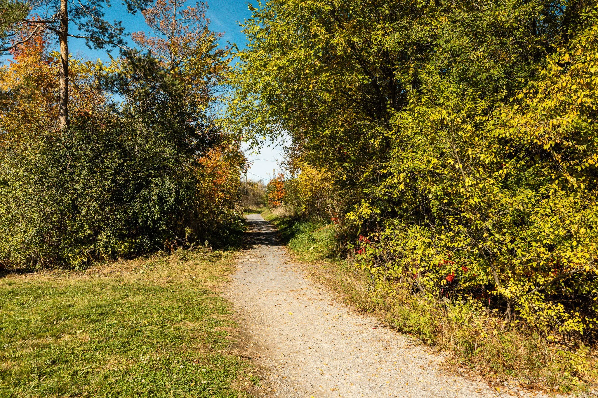 5_Taber_0046.jpg