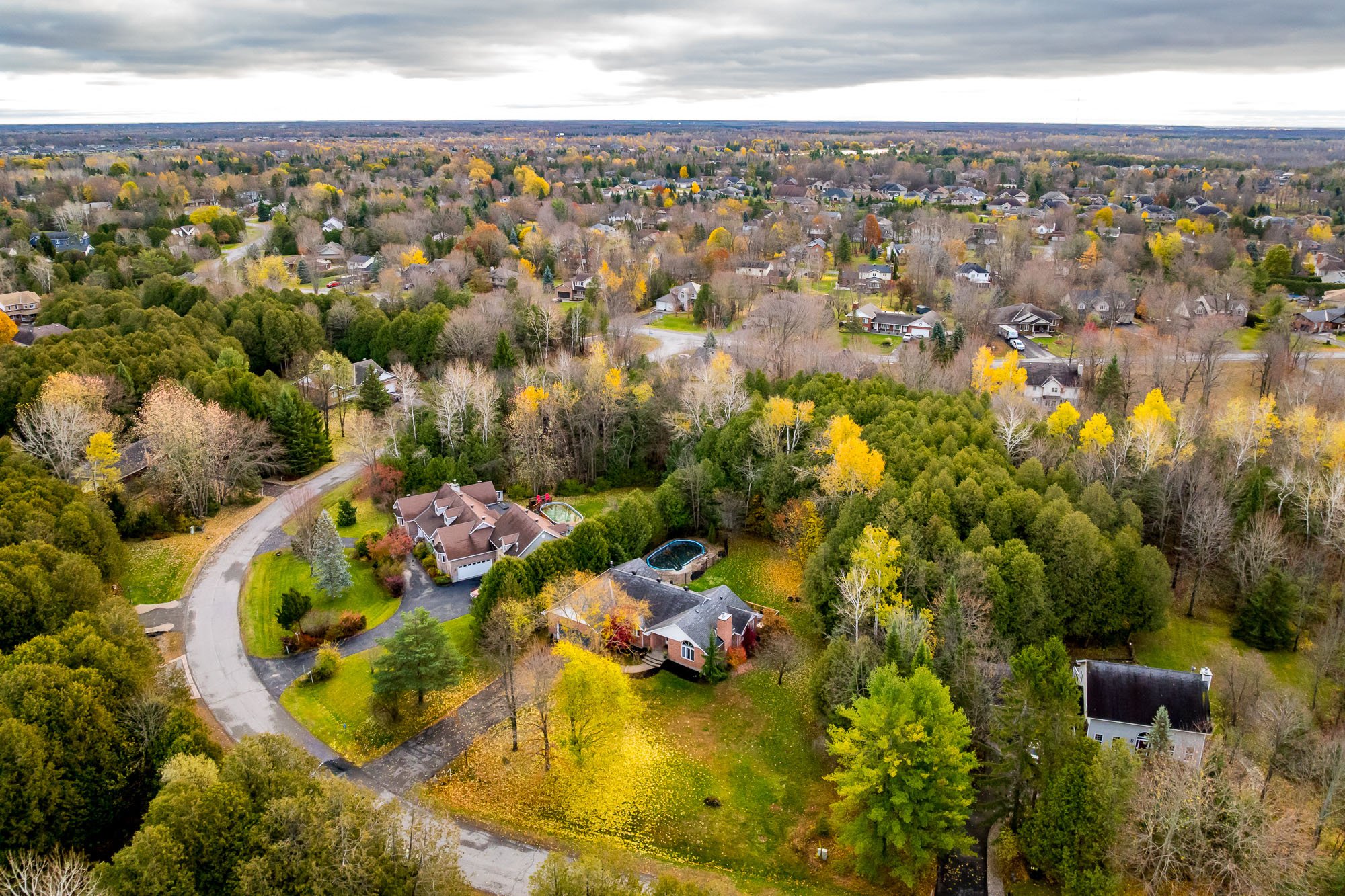 6492 Waddion_005.jpg