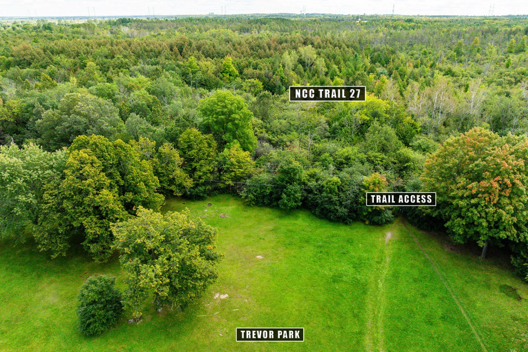 61 Ridgefield_0080.jpg