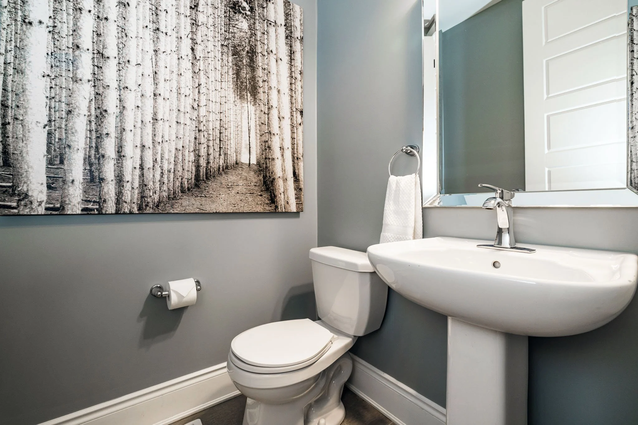 199 Bartonia_039.jpg