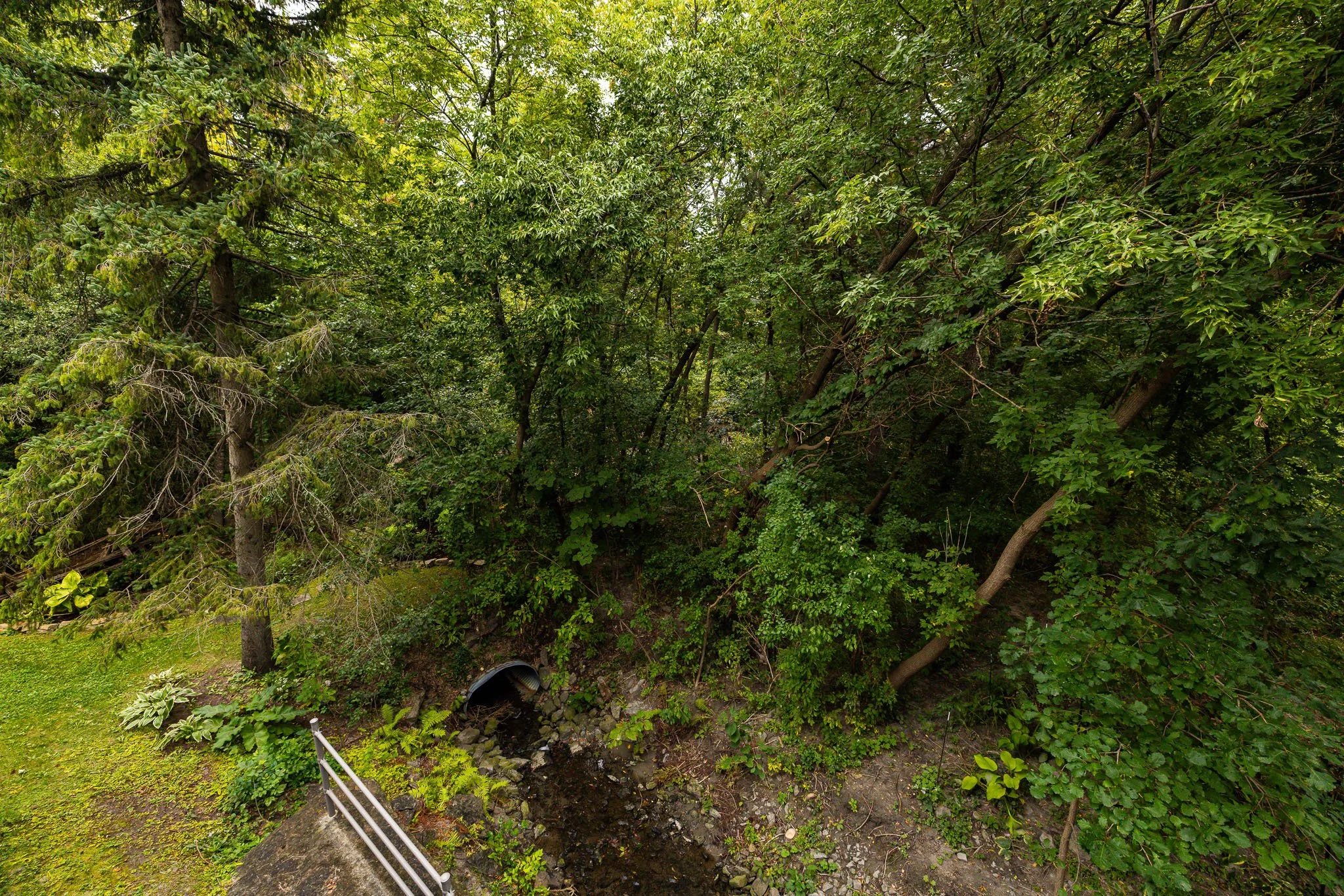 119 Creeks End_0014.jpg