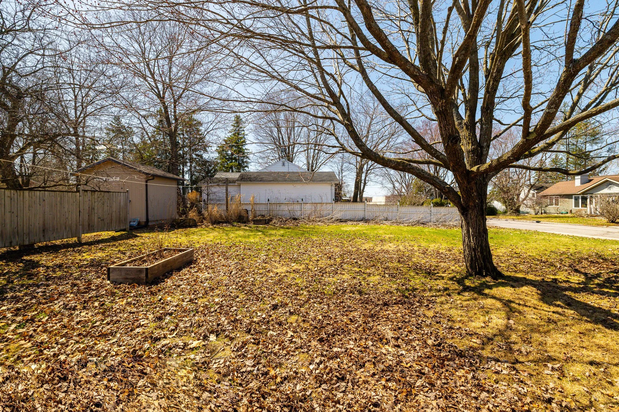 308 St George St_056.jpg