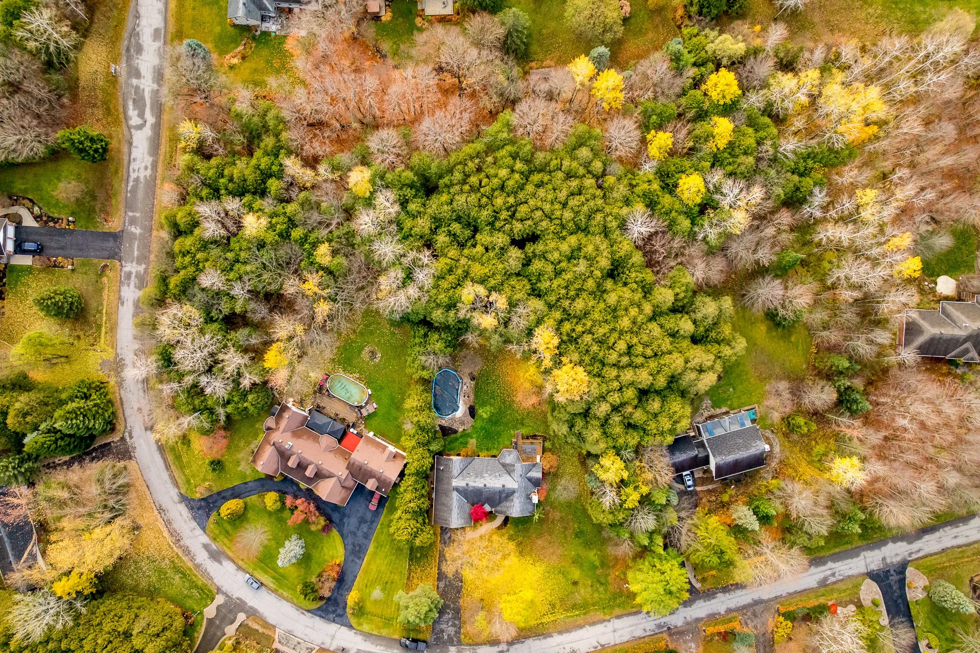 6492 Waddion_065.jpg