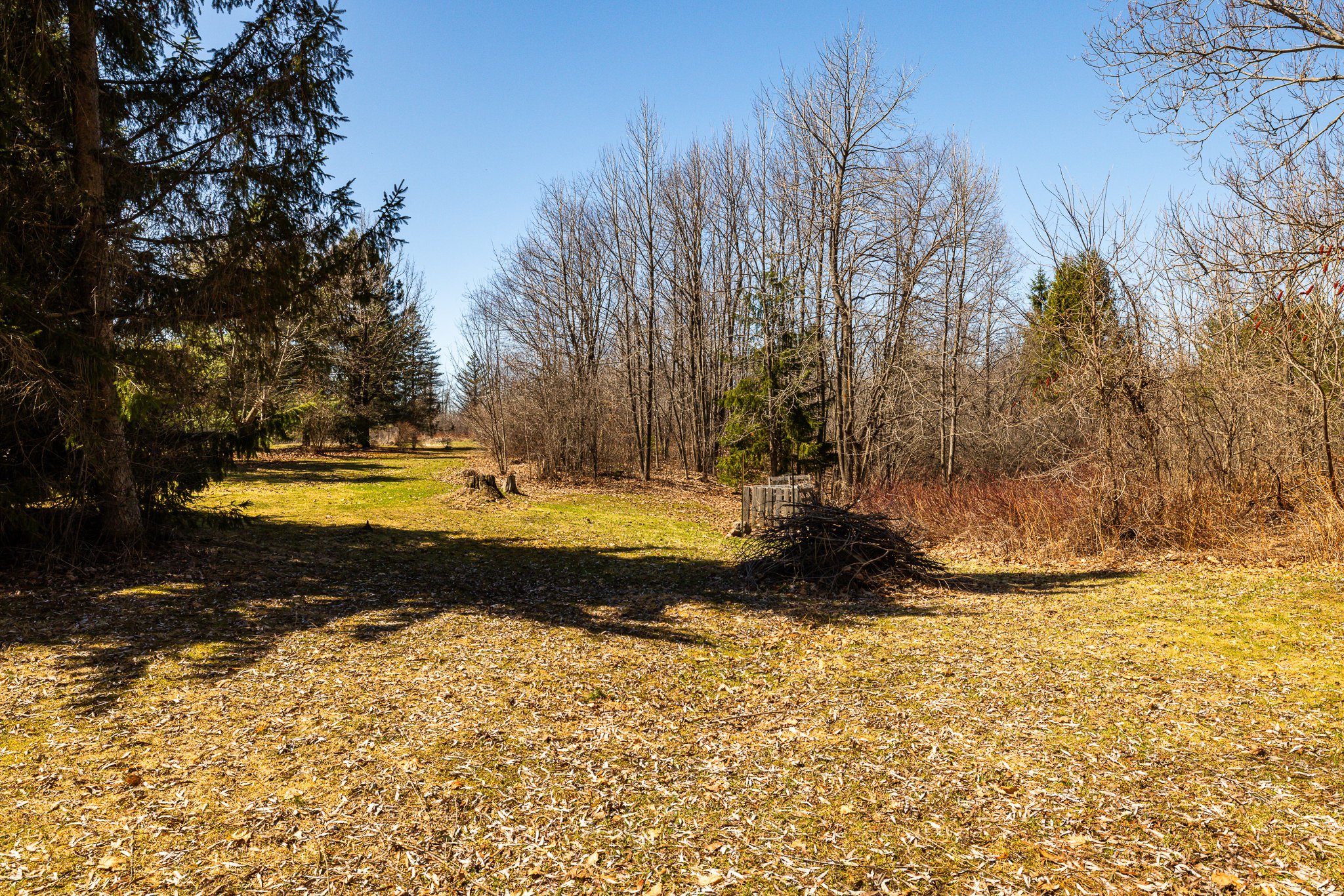 105 Kilkenny __052.jpg