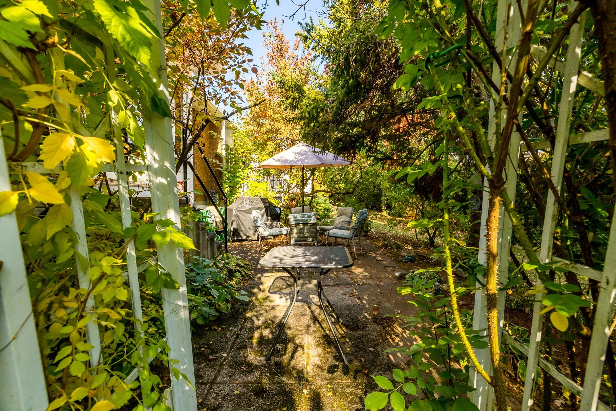 25 Pine Needles_057.jpg