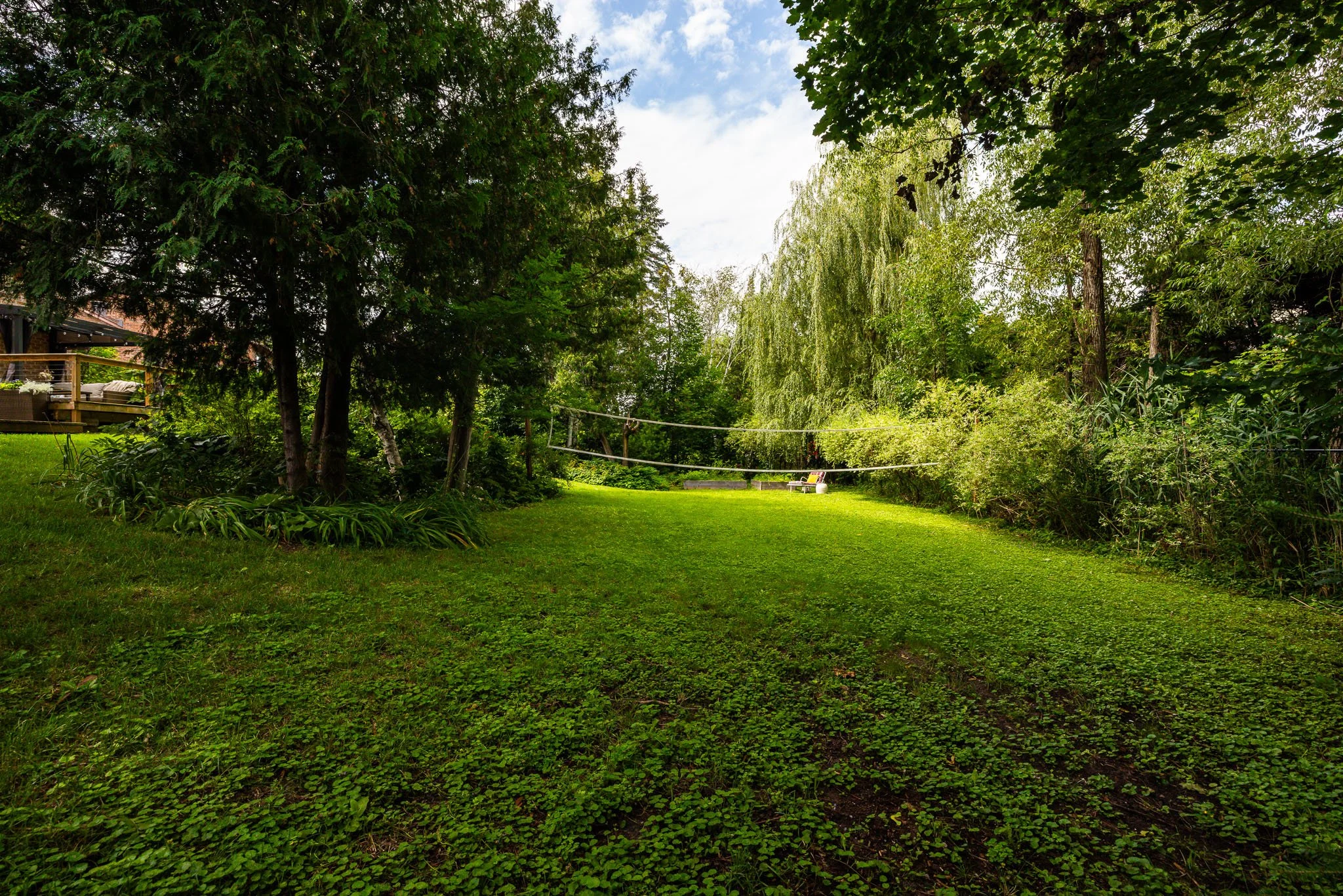50 Hesse_0117.jpg