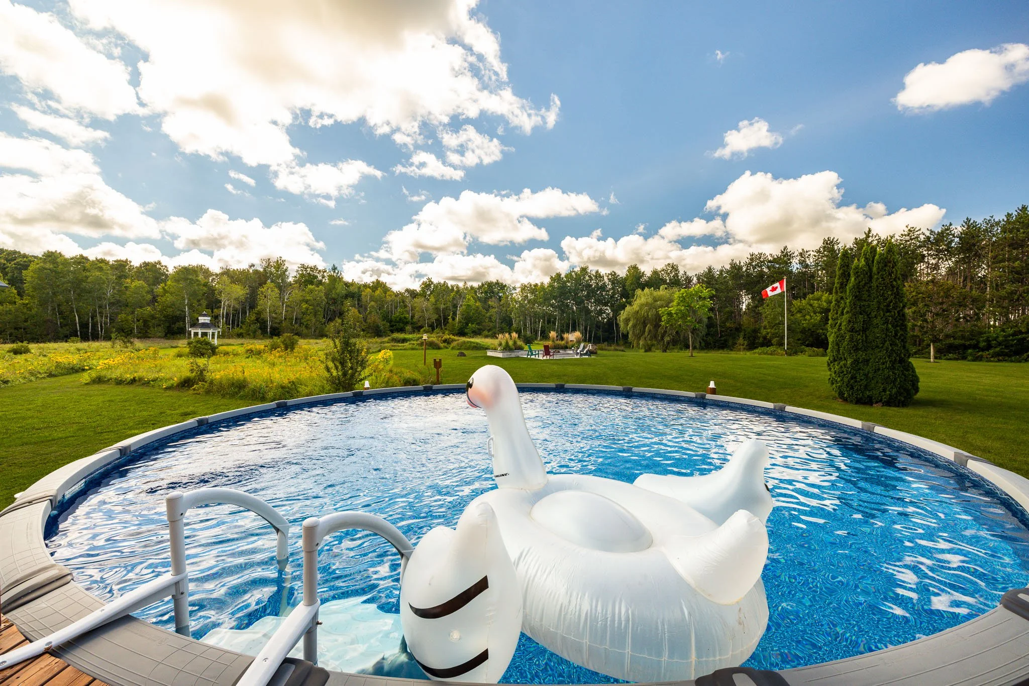 61 Balmoral_0098.jpg