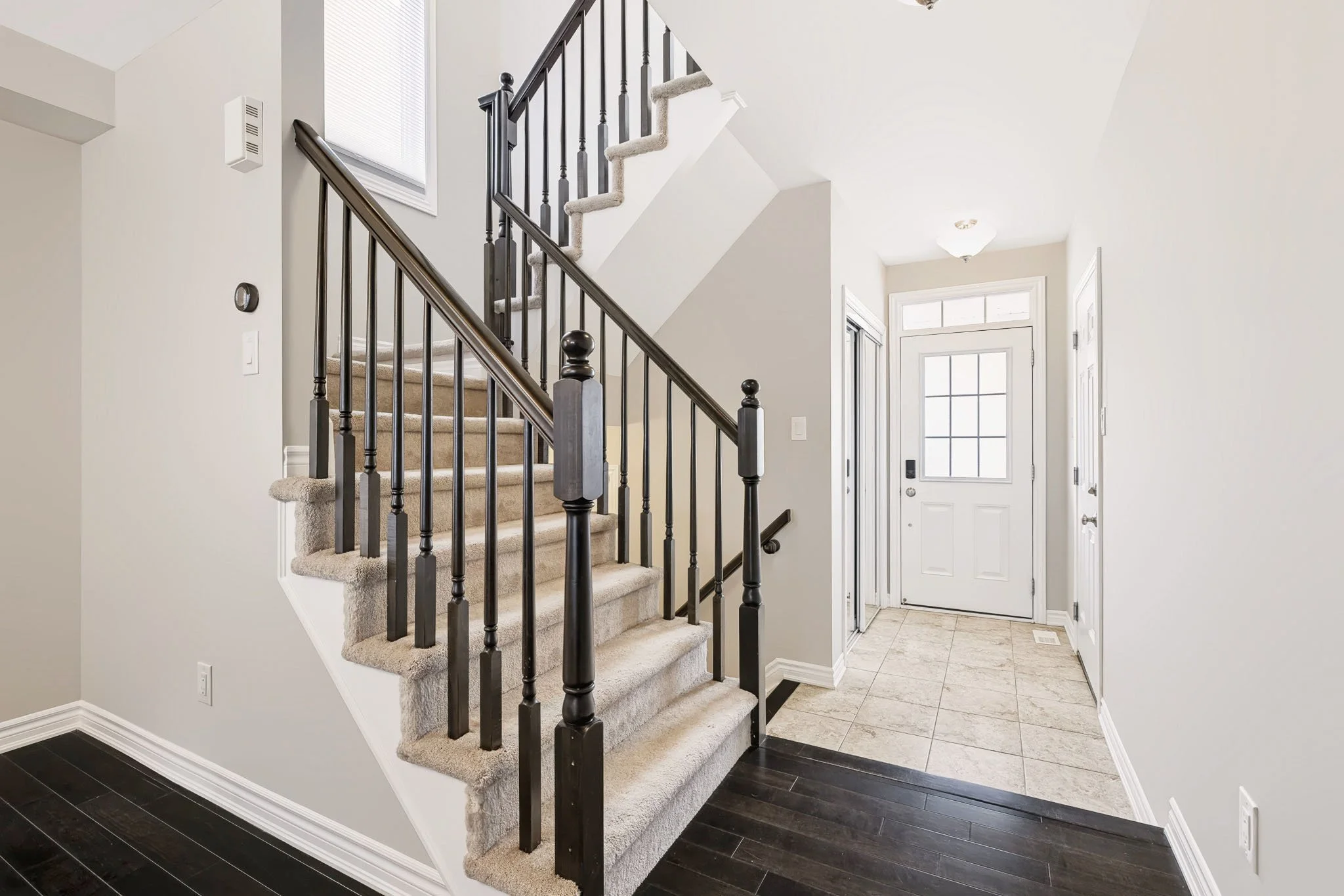 106 Santolina_0020.jpg