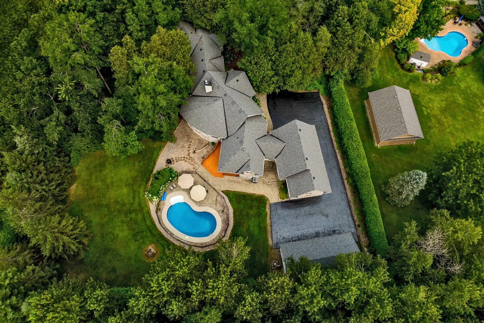 6196 Deermeadow_102.jpg