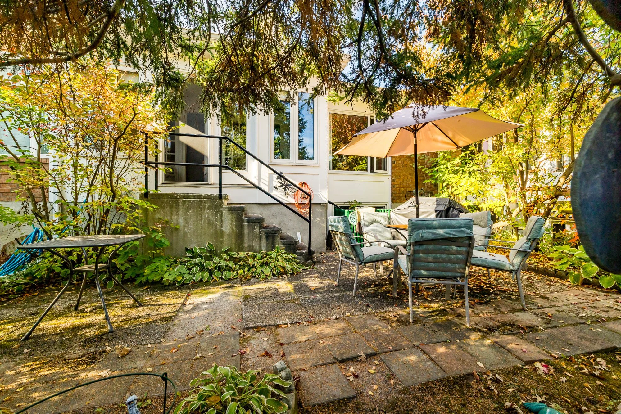 25 Pine Needles_056.jpg