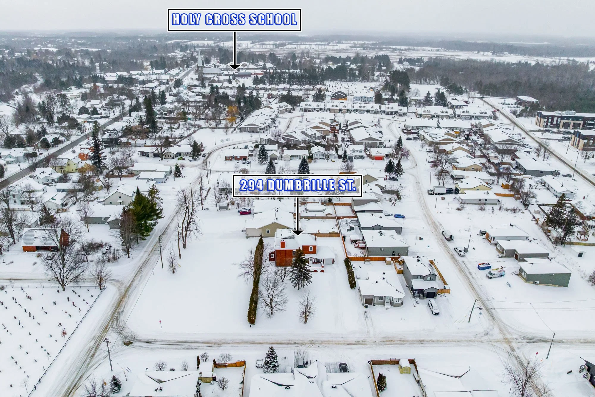 294 Dumbrille_002.jpg