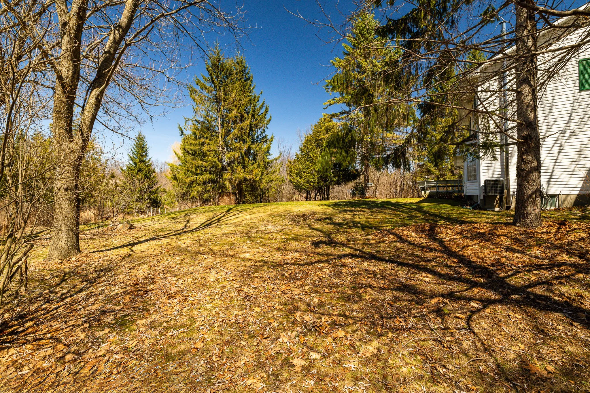 105 Kilkenny __043.jpg