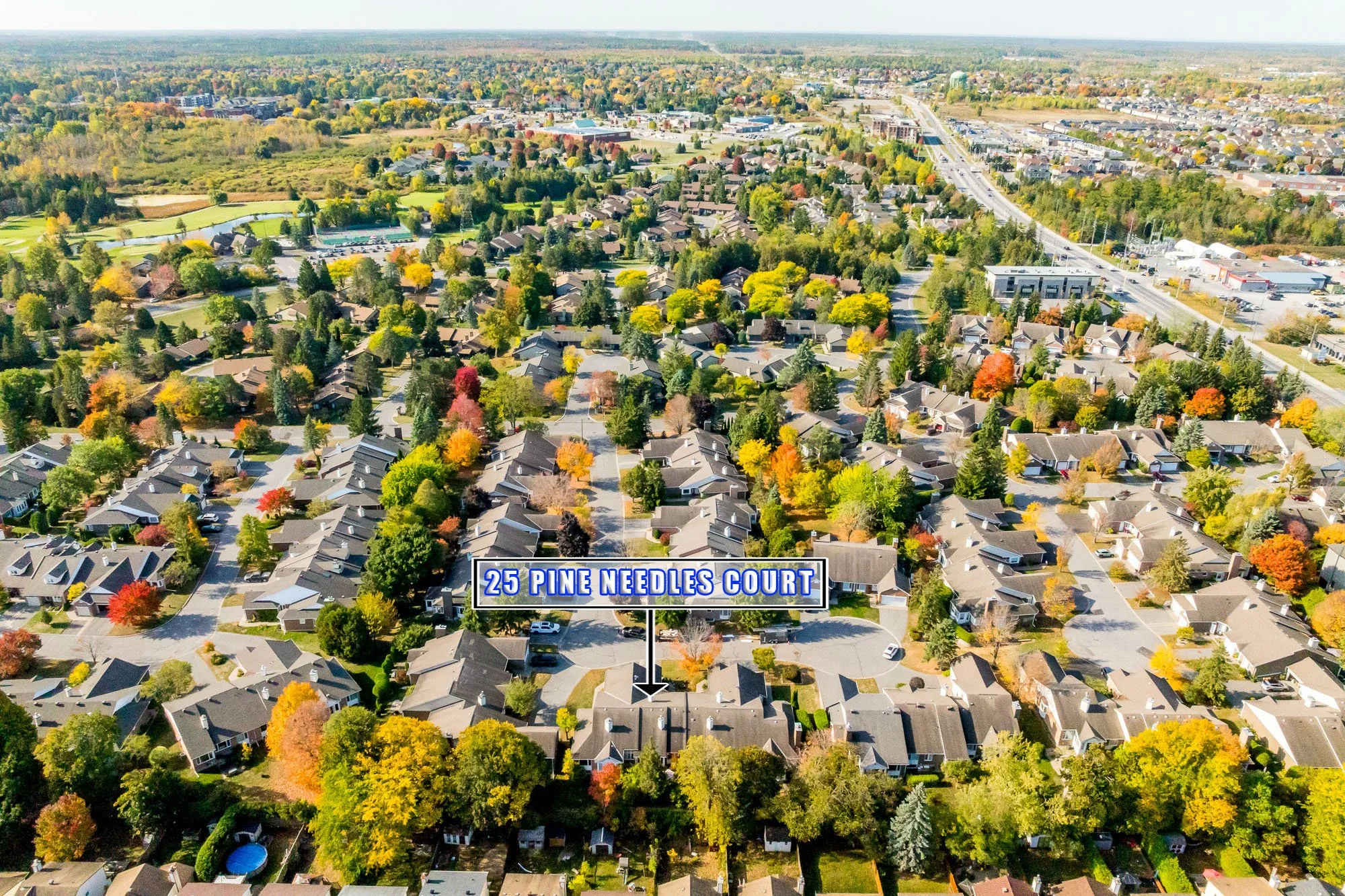 25 Pine Needles_054.jpg