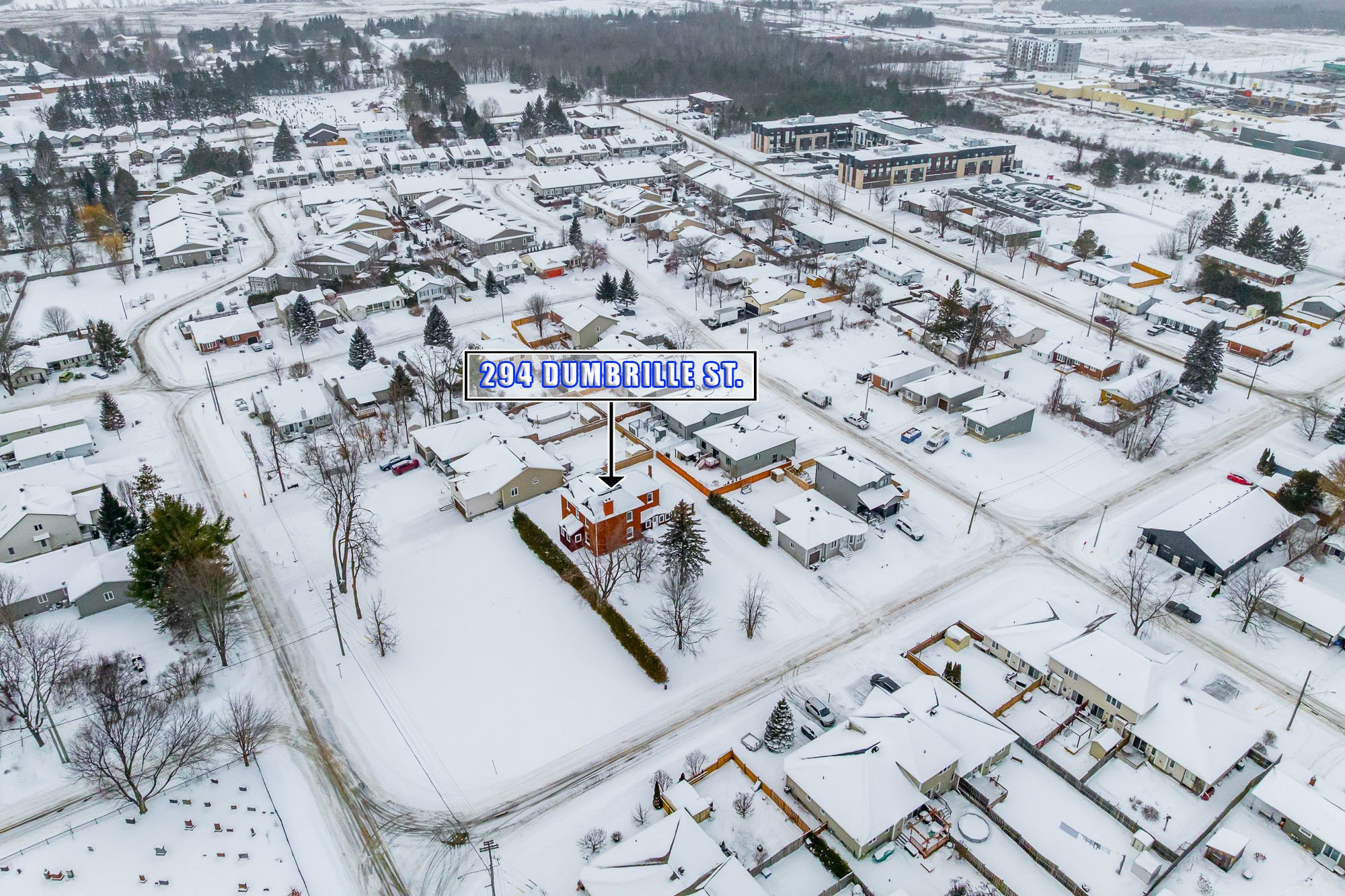 294 Dumbrille_003.jpg