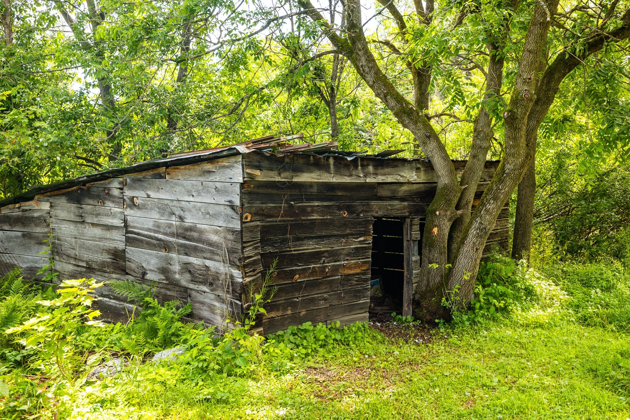 236 Blakeney_0067.jpg