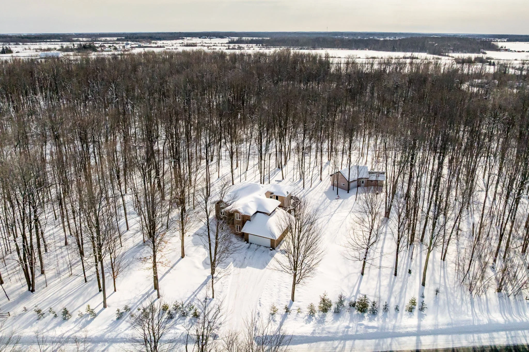 5830 Wood Duck_003.jpg