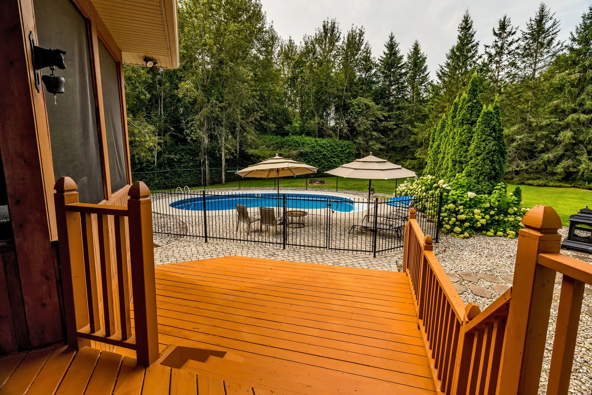 6196 Deermeadow_090.jpg