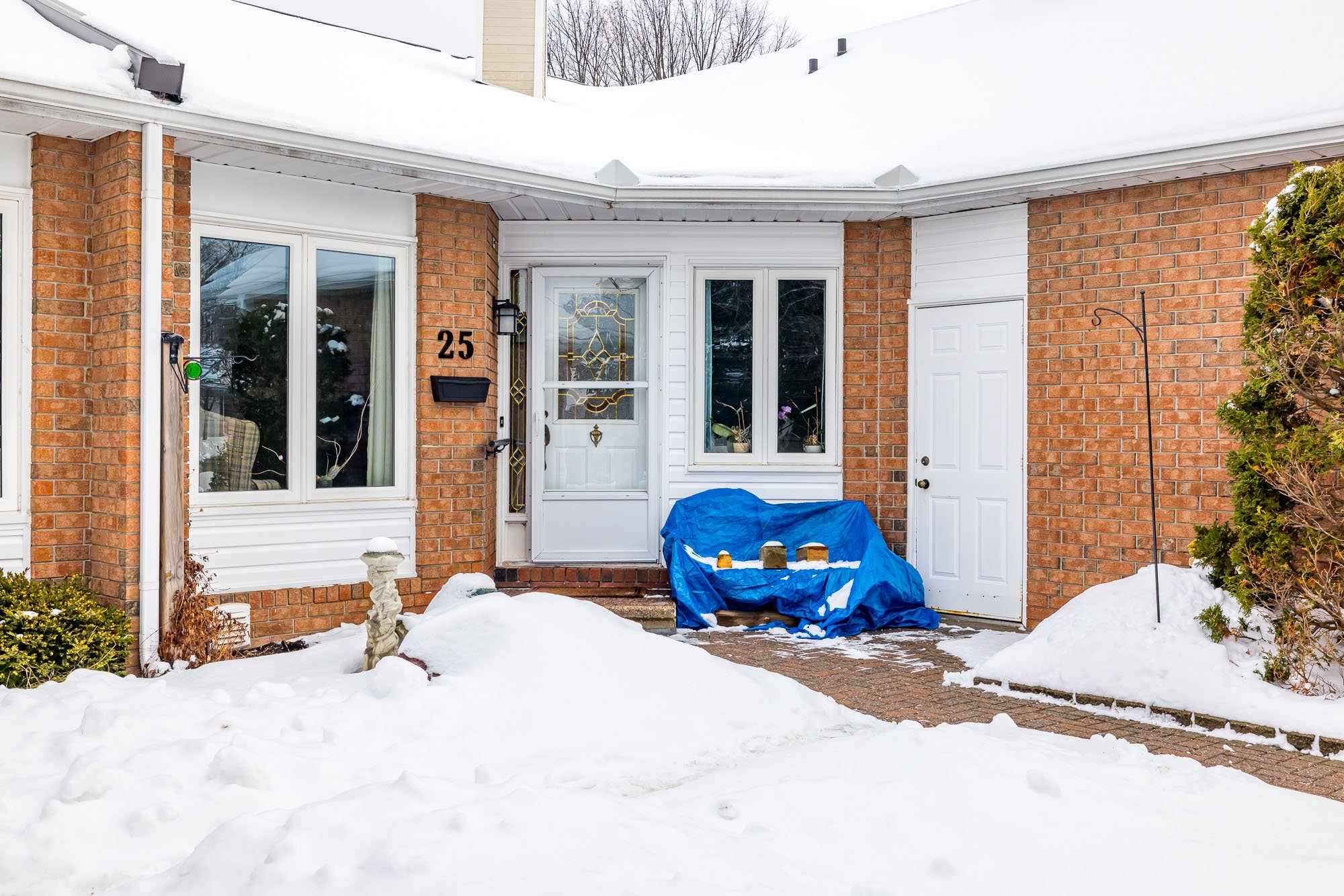 25 Pine Needles_007.jpg