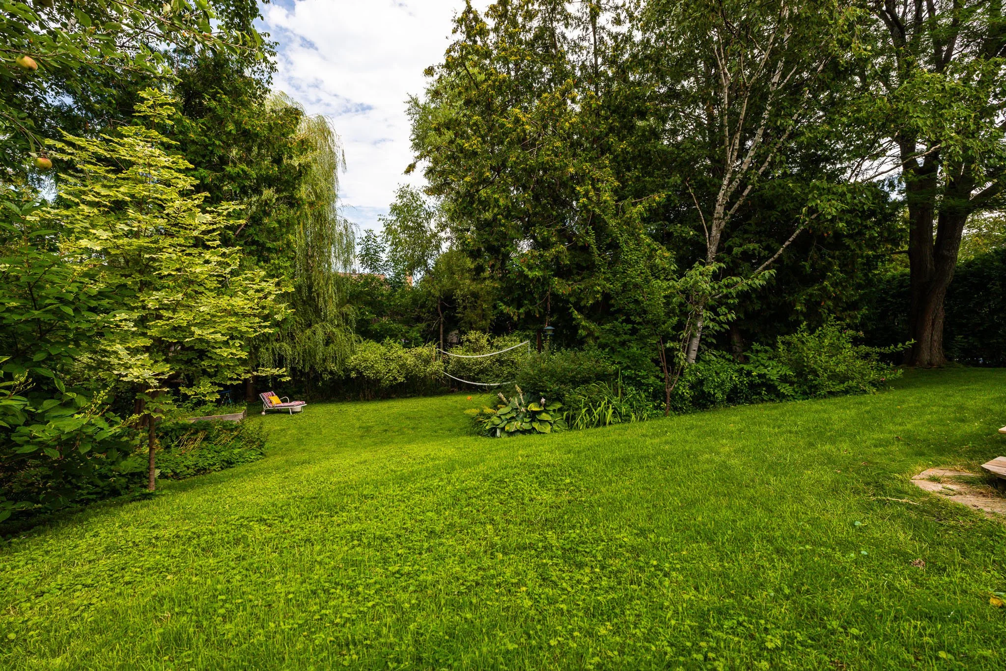 50 Hesse_0113.jpg