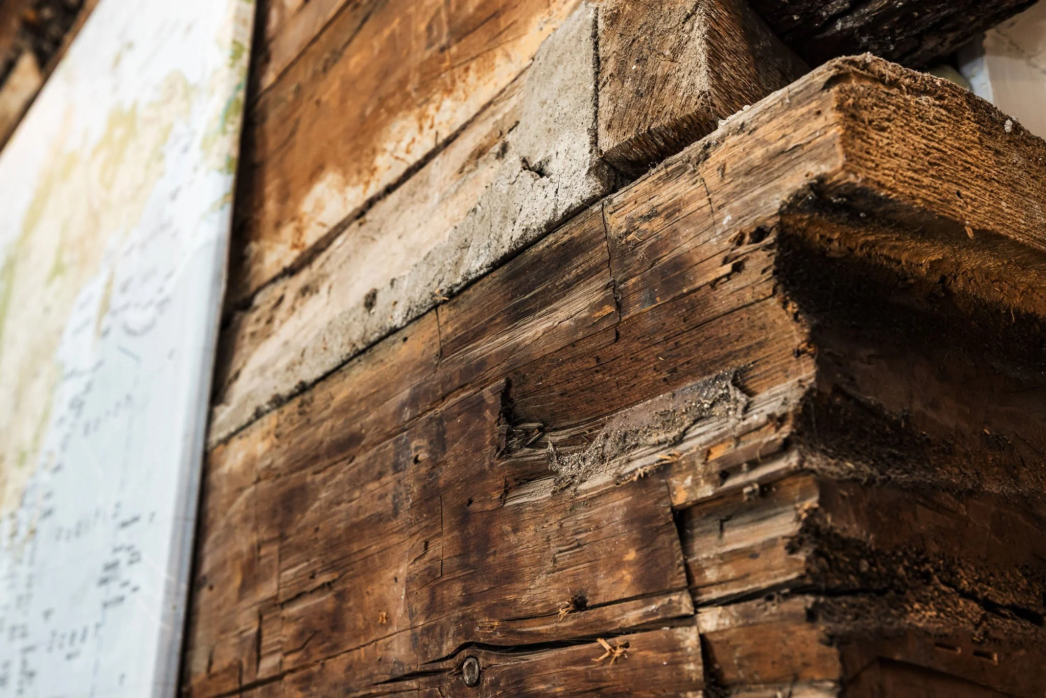 23 Norma St S_034.jpg