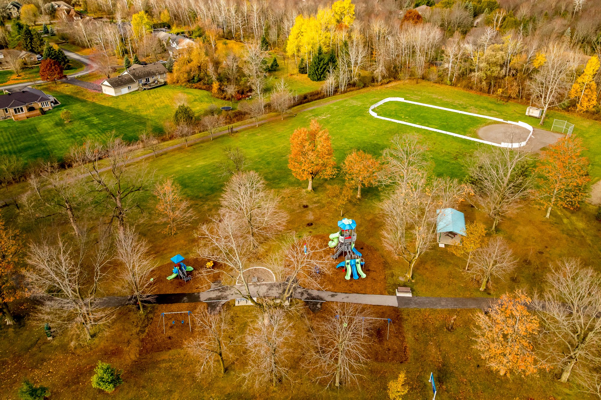 6492 Waddion_086.jpg